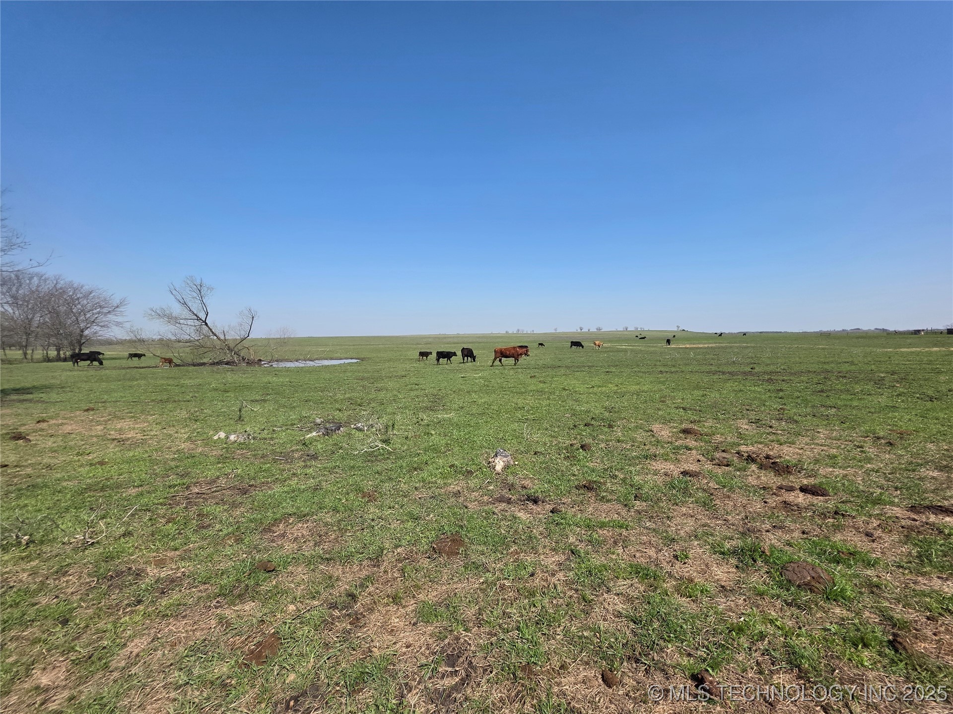 426494 E 250 Road Property Photo 12