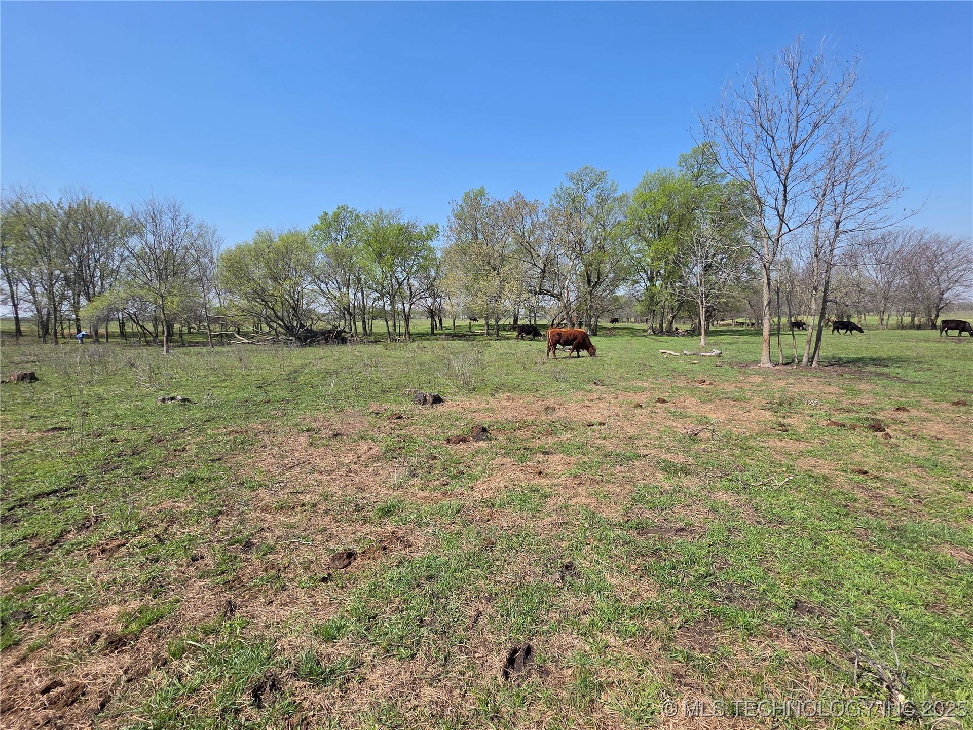 426494 E 250 Road Property Photo 13