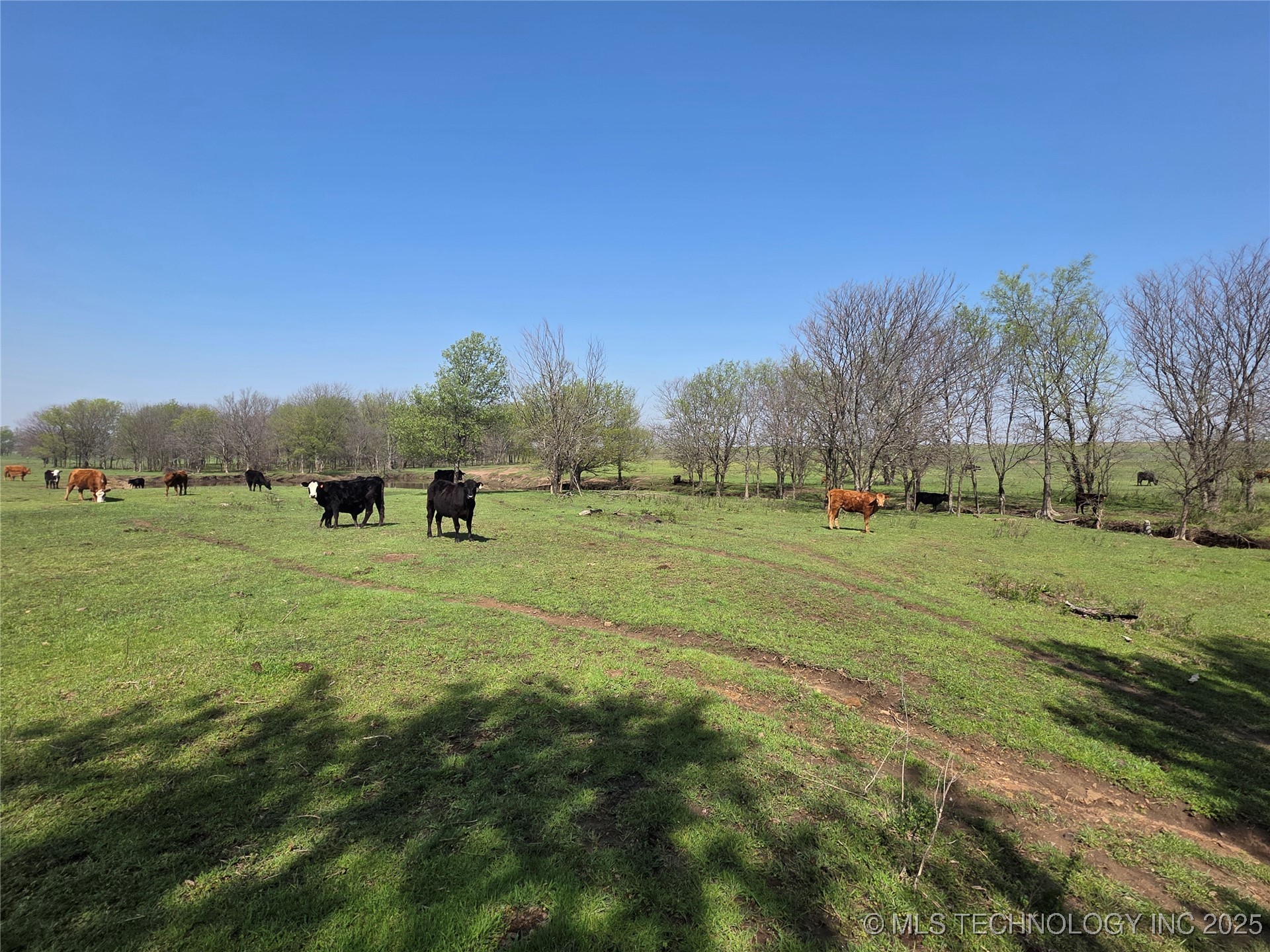 426494 E 250 Road Property Photo 14