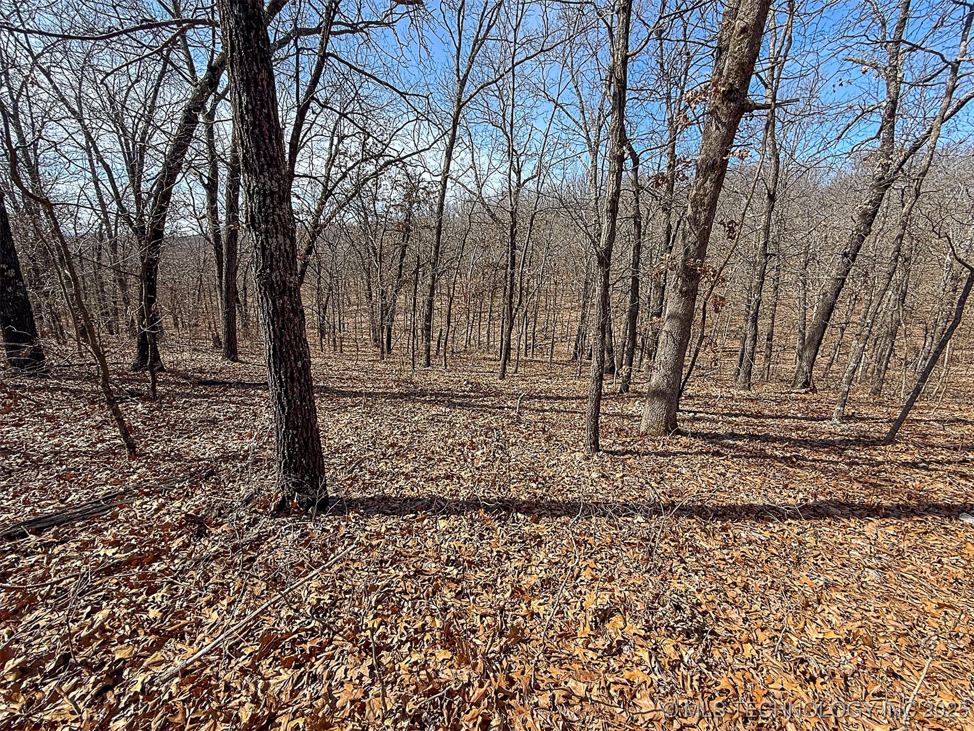 Redbud Loop Property Photo 8