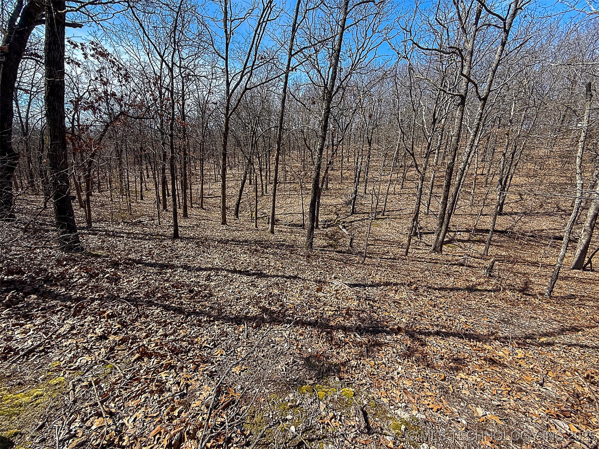 Redbud Loop Property Photo 9