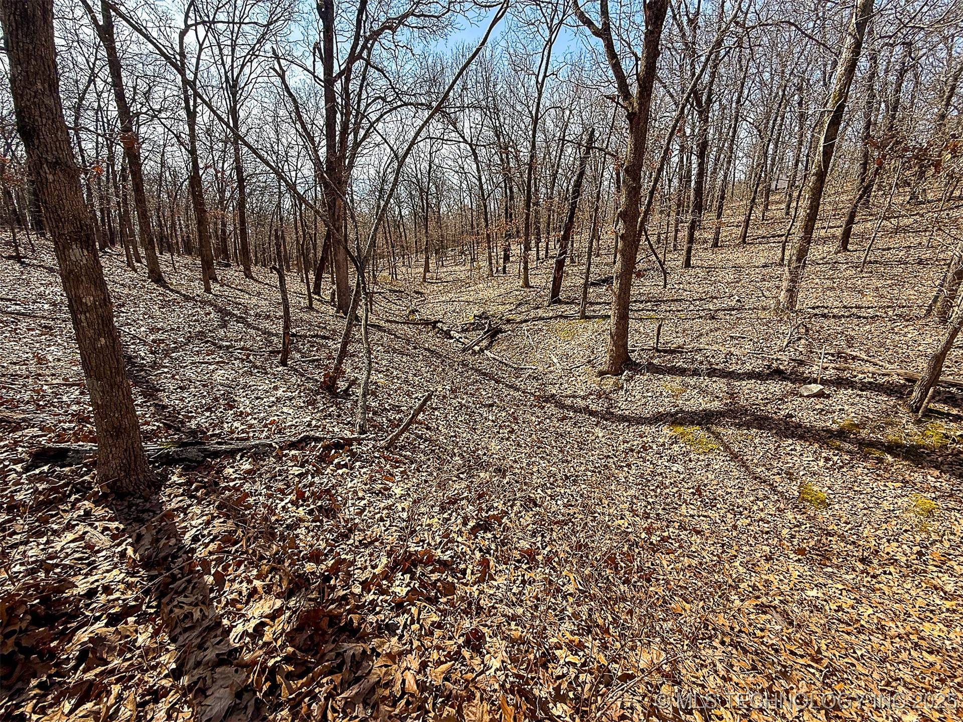 Redbud Loop Property Photo 10