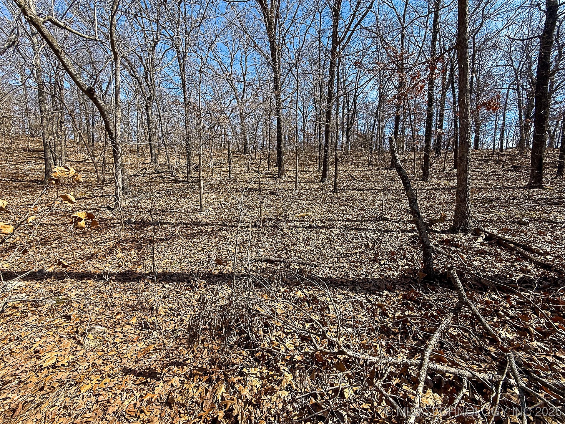 Redbud Loop Property Photo 11