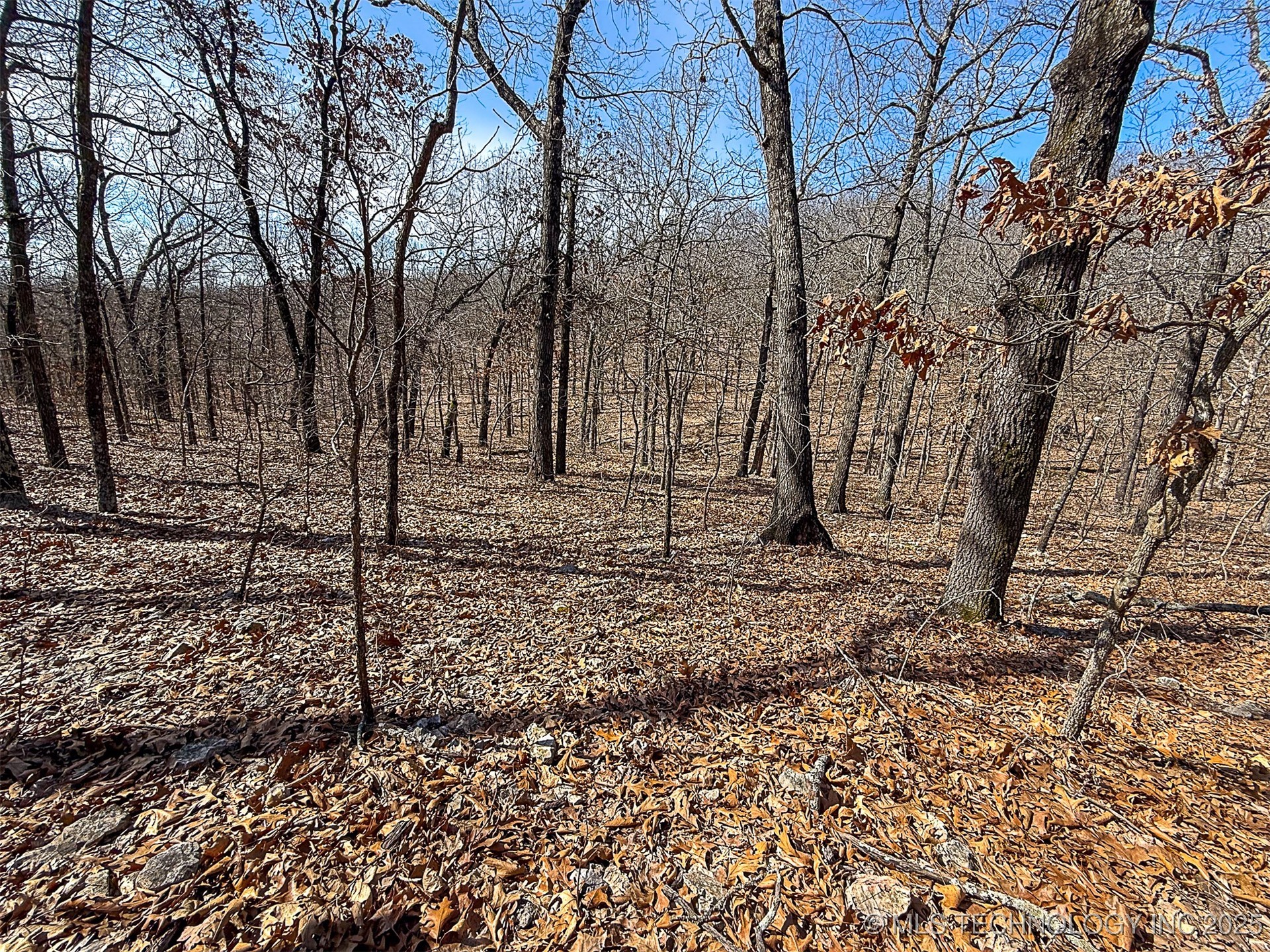 Redbud Loop Property Photo 12