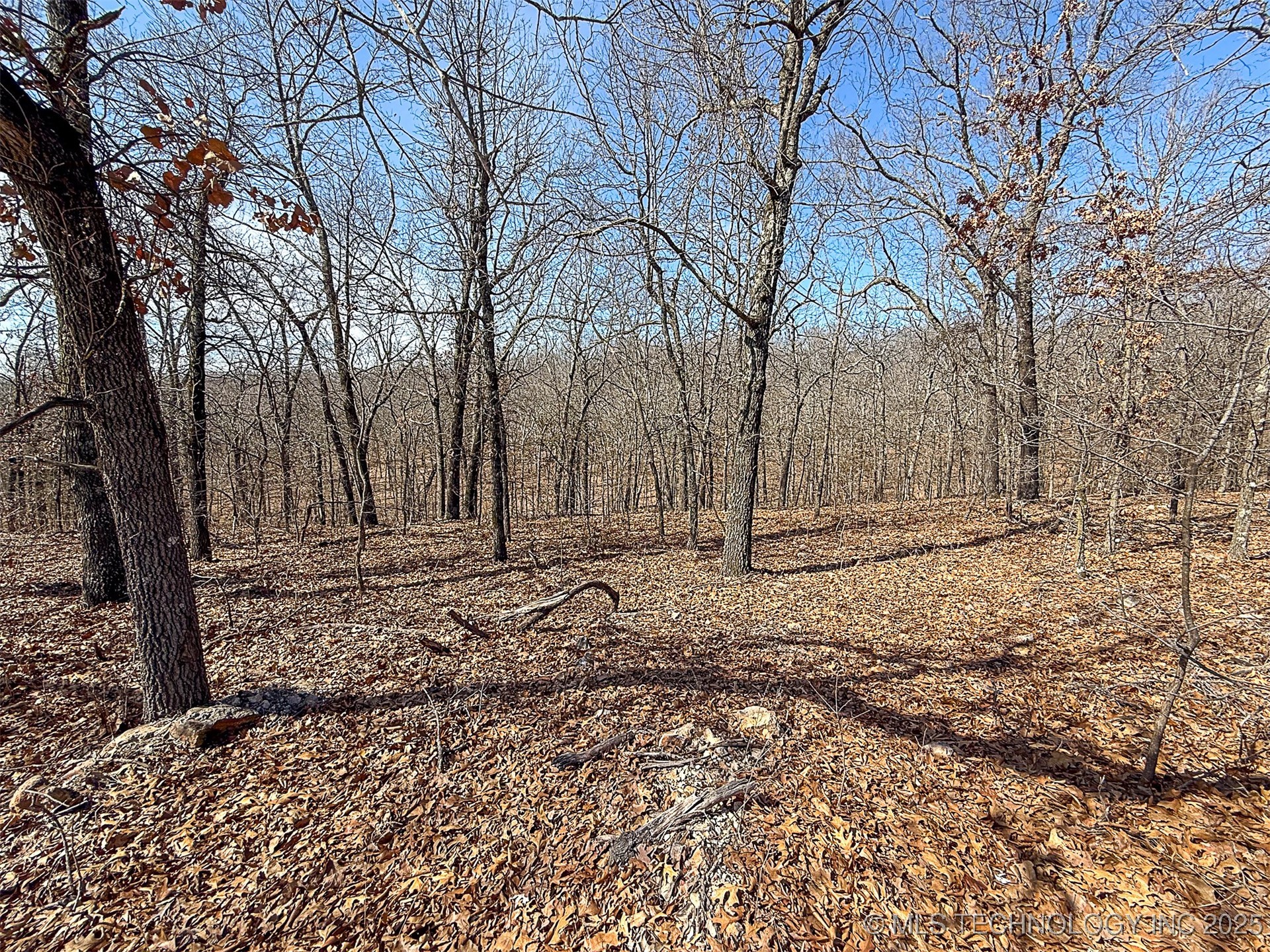 Redbud Loop Property Photo 13
