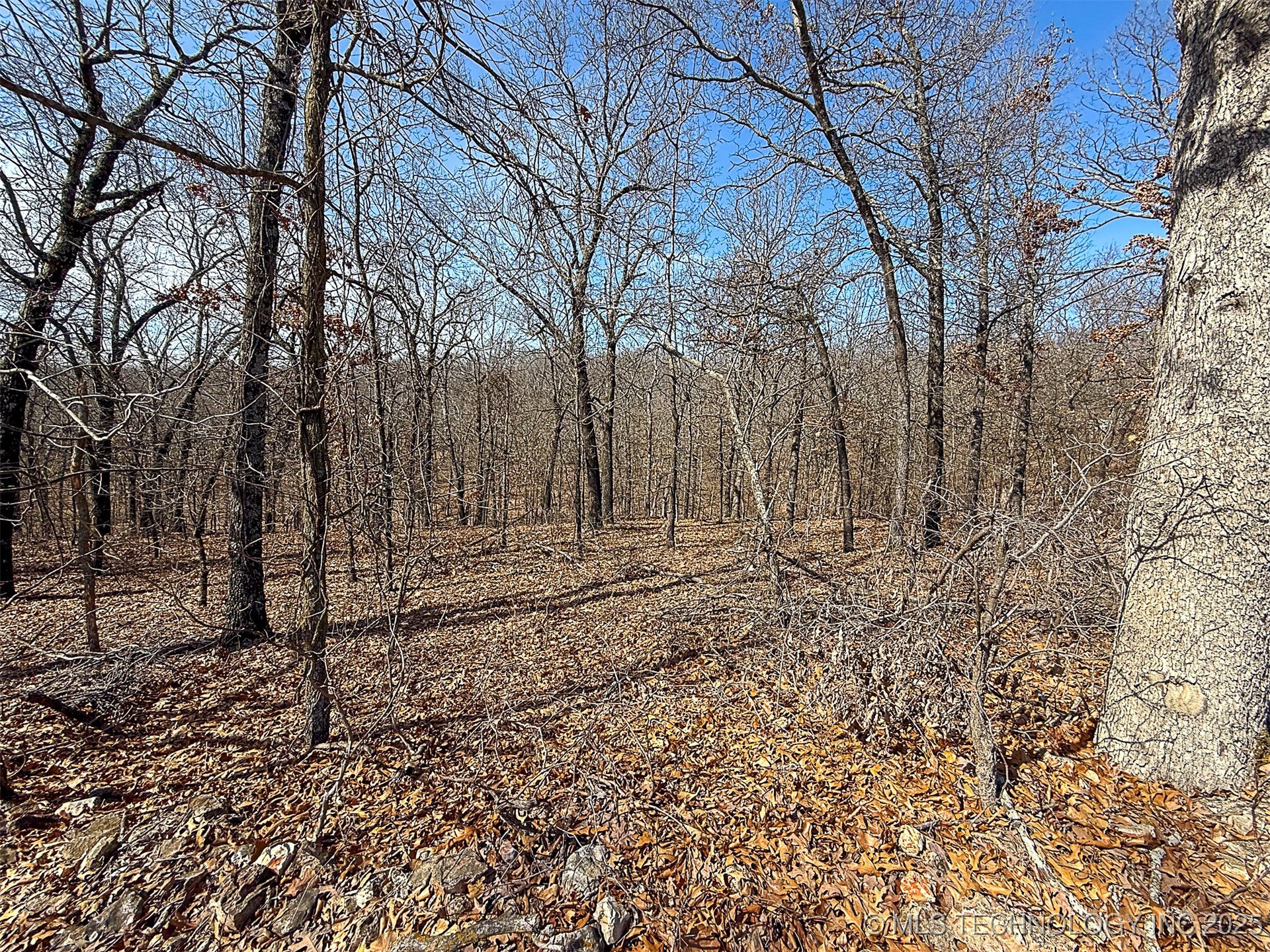 Redbud Loop Property Photo 14