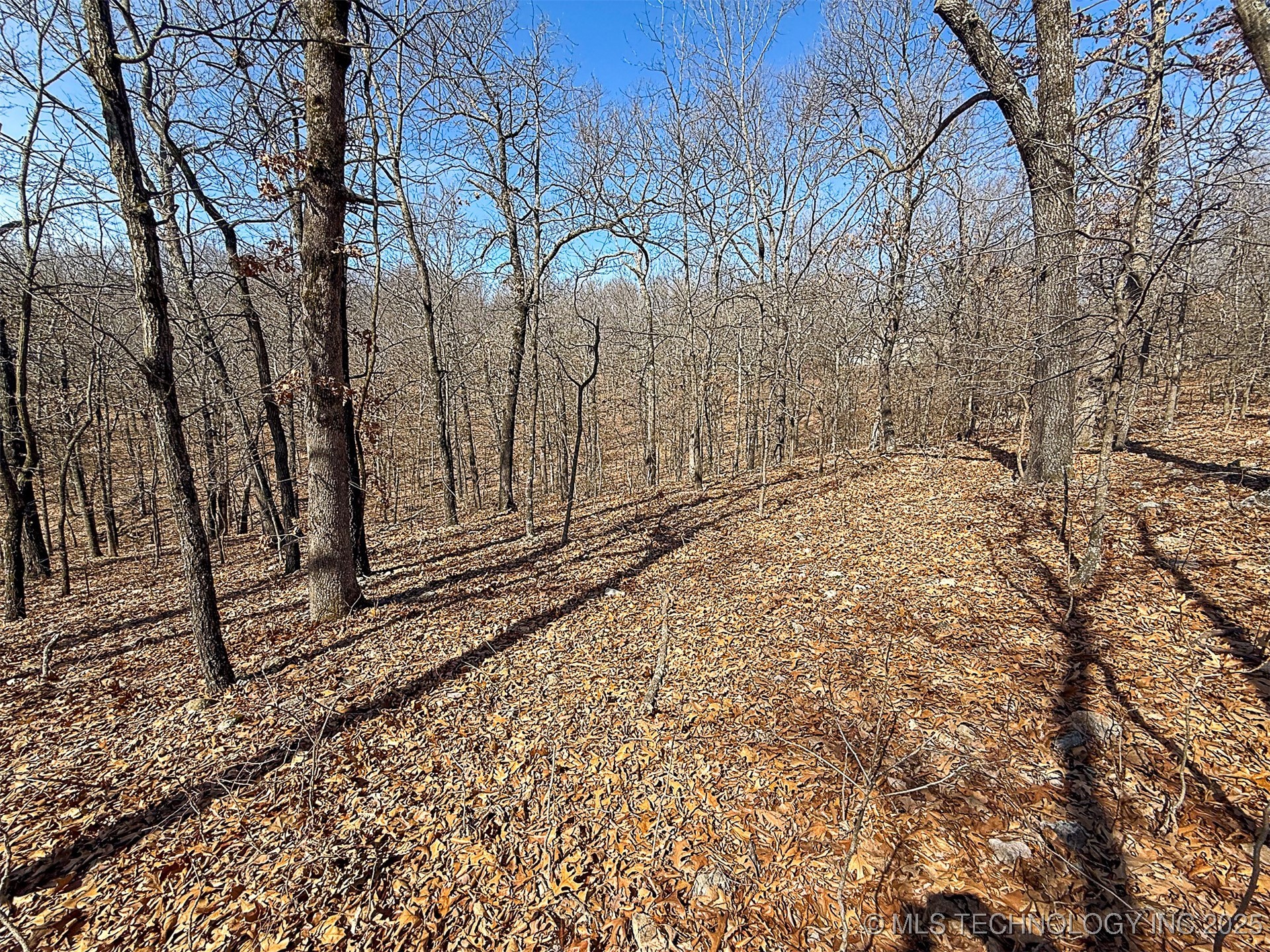 Redbud Loop Property Photo 15