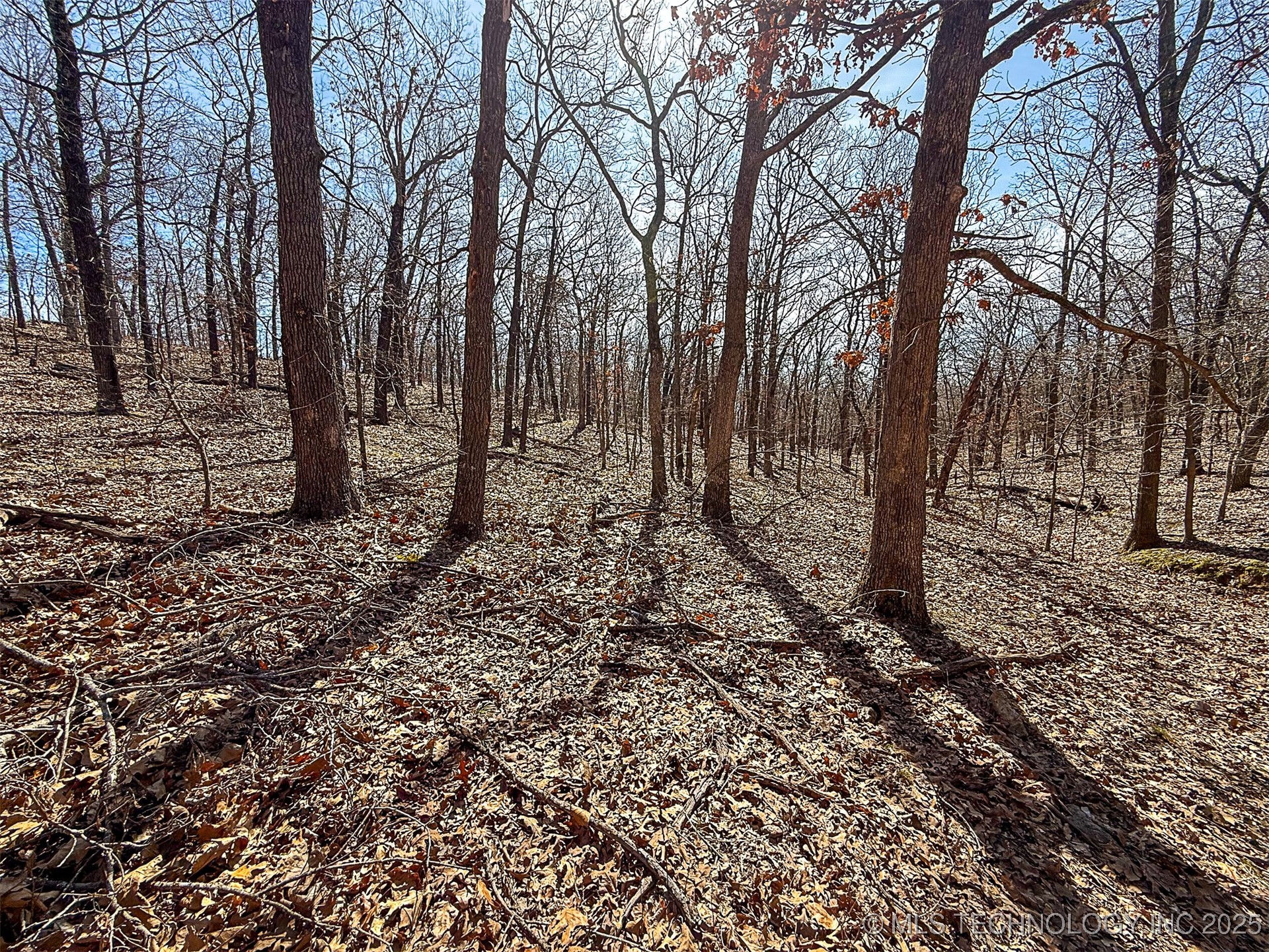 Redbud Loop Property Photo 16