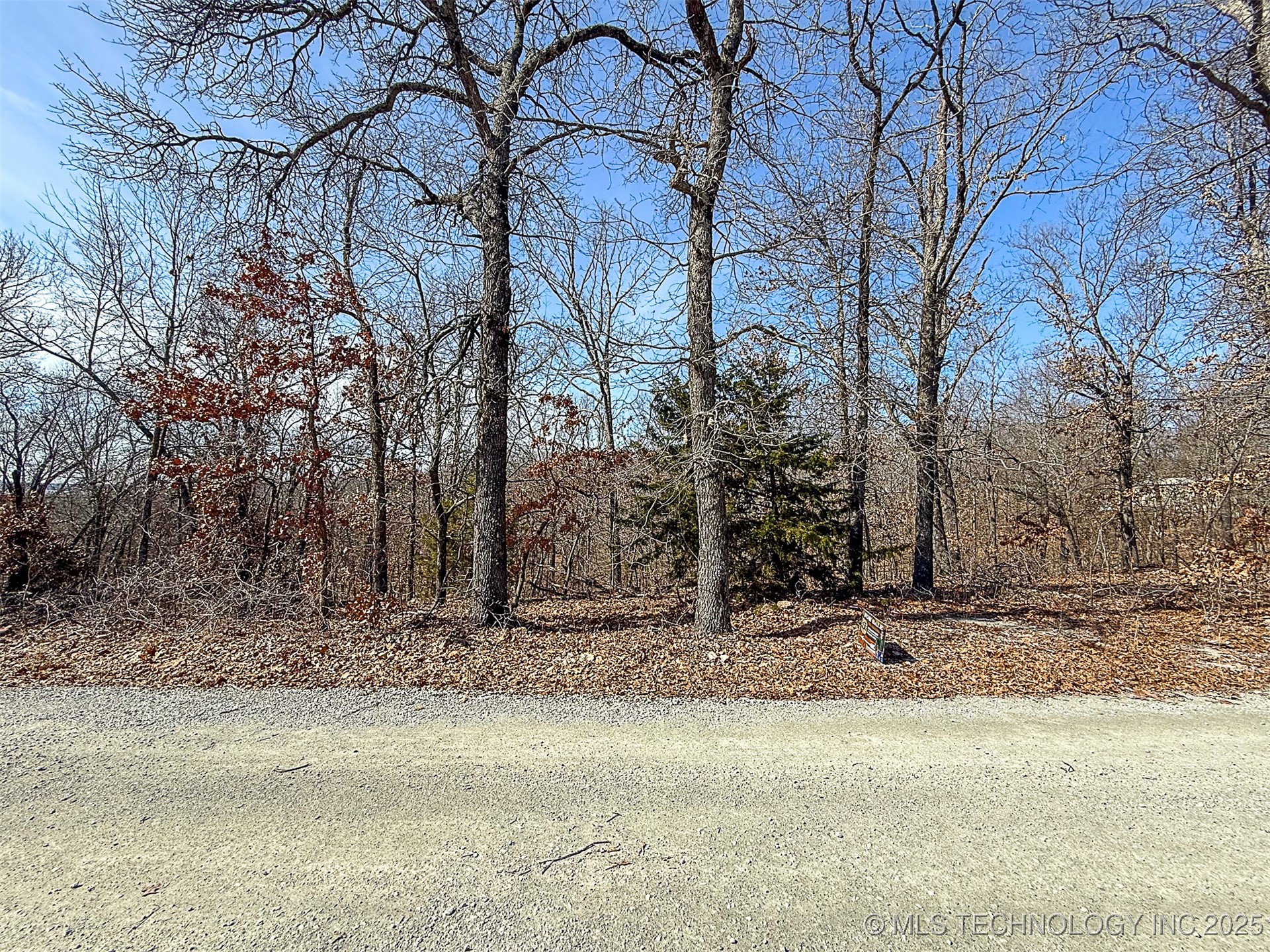 Redbud Loop Property Photo 17