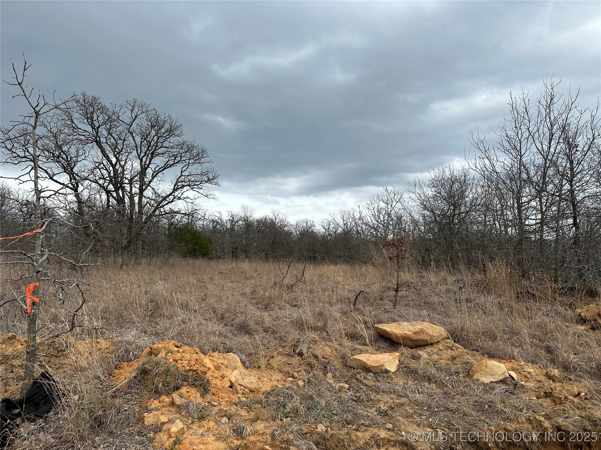County Road 1405 Property Photo