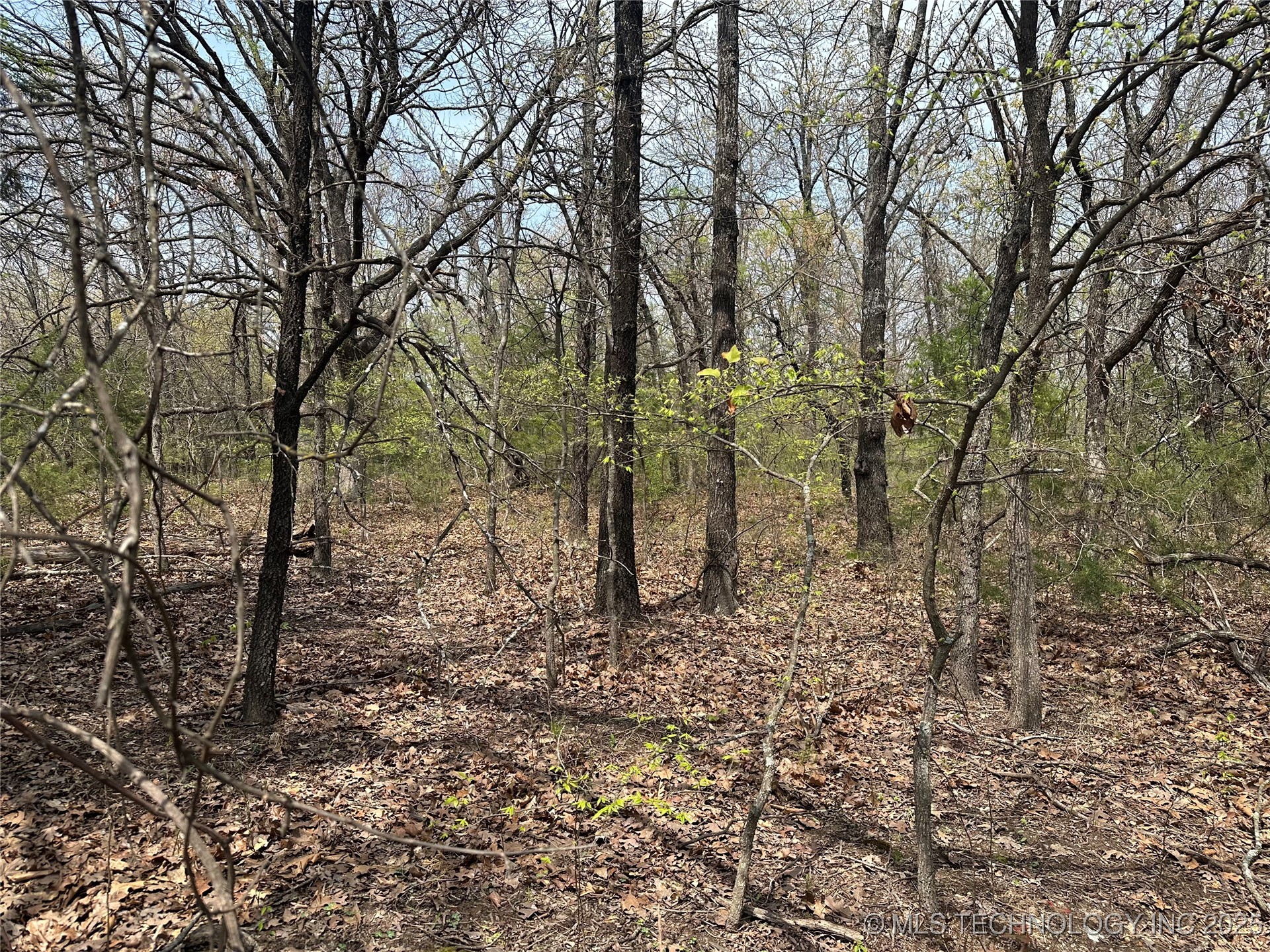 Crowder Property Photo