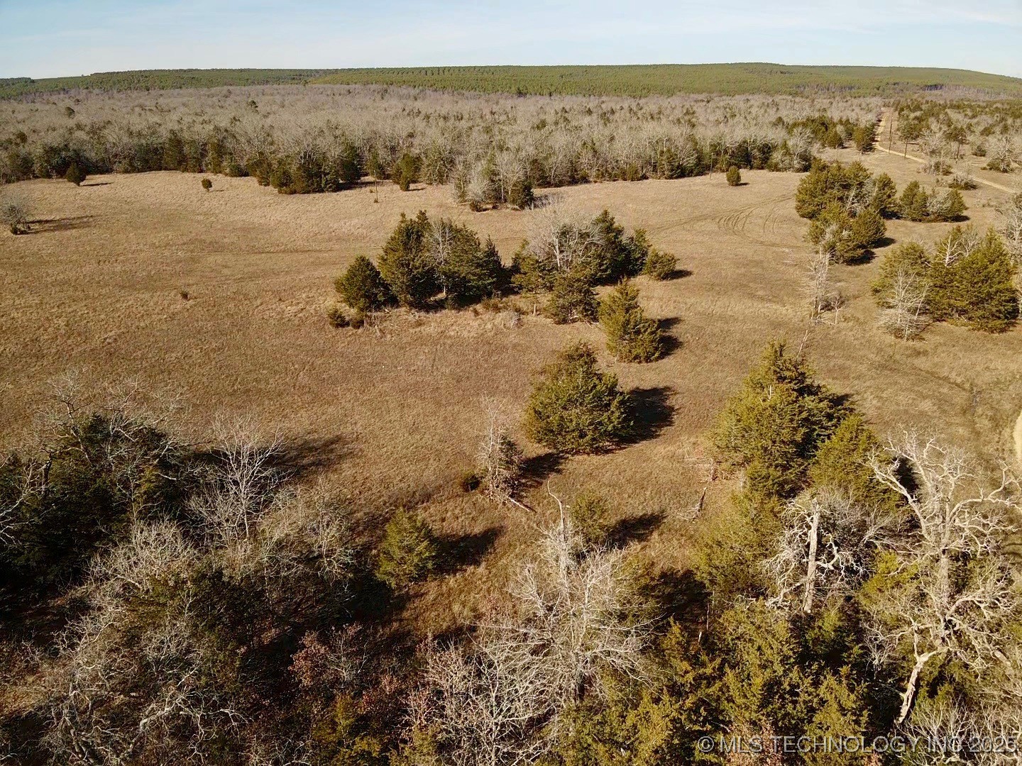 Lake Property Photo 5