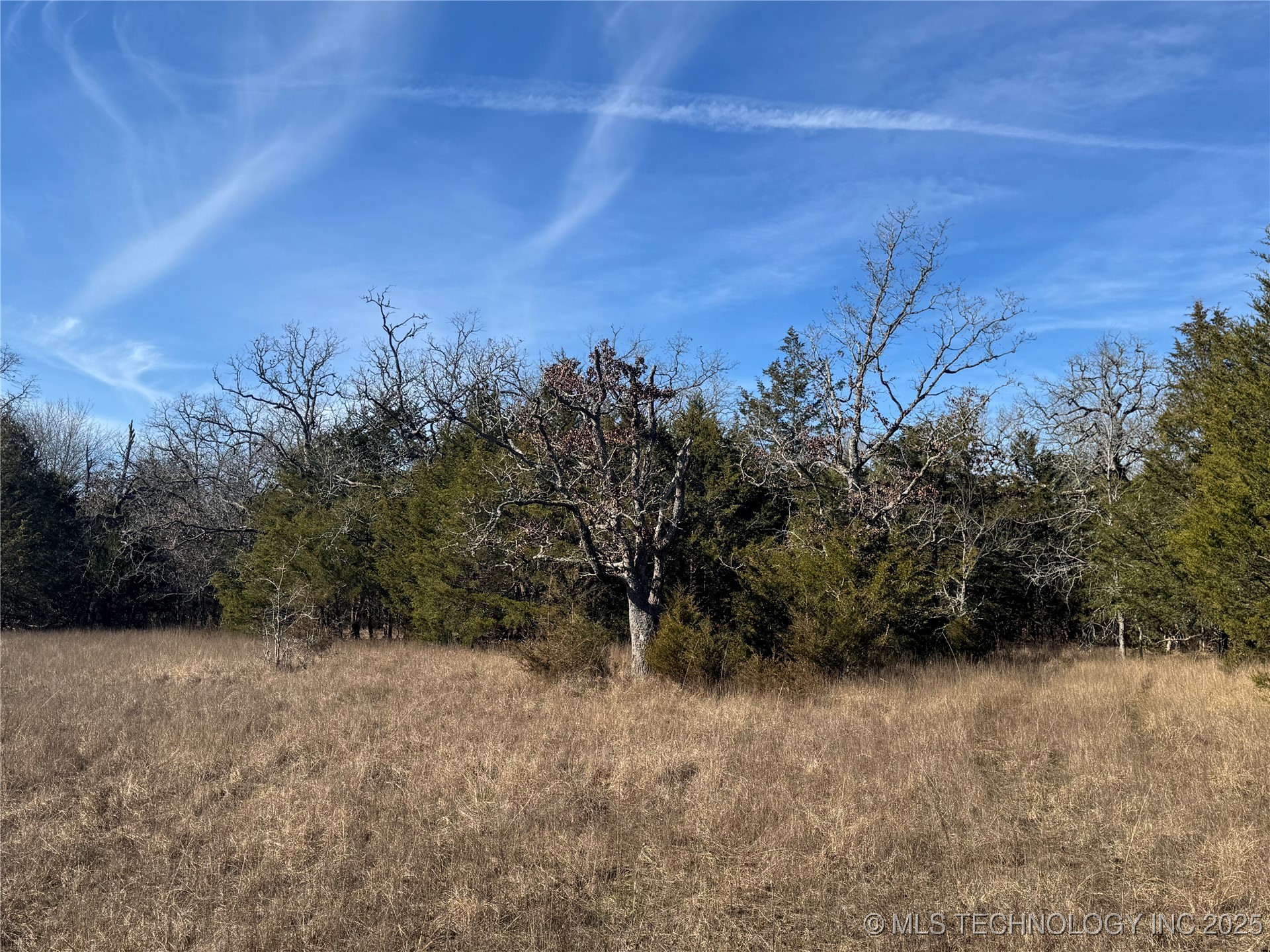 Lake Property Photo 14