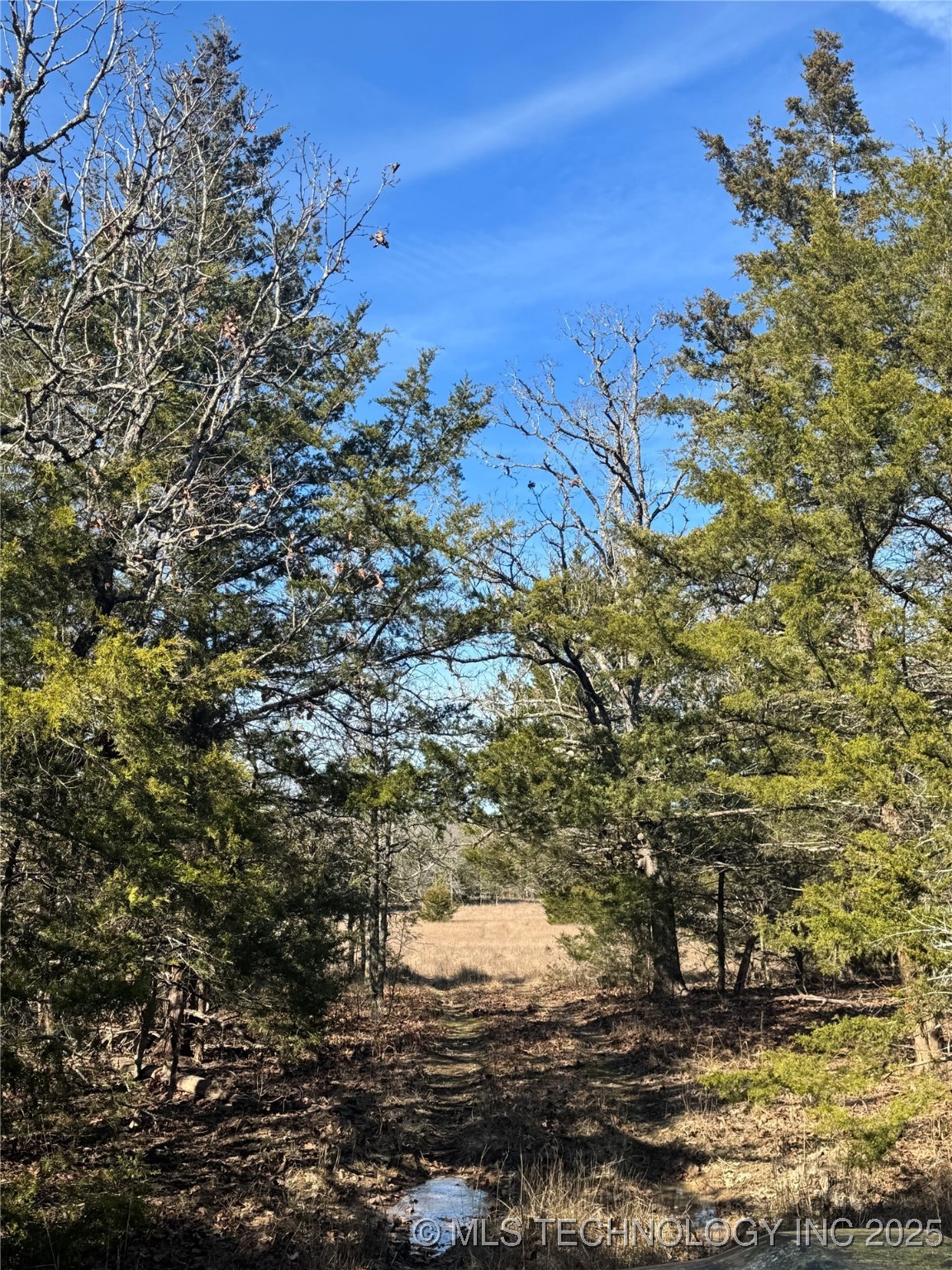 Lake Property Photo 17