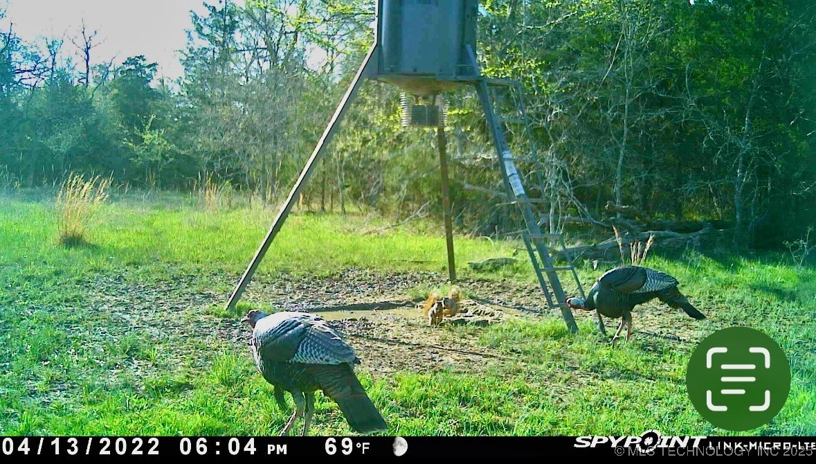 Lake Property Photo 21
