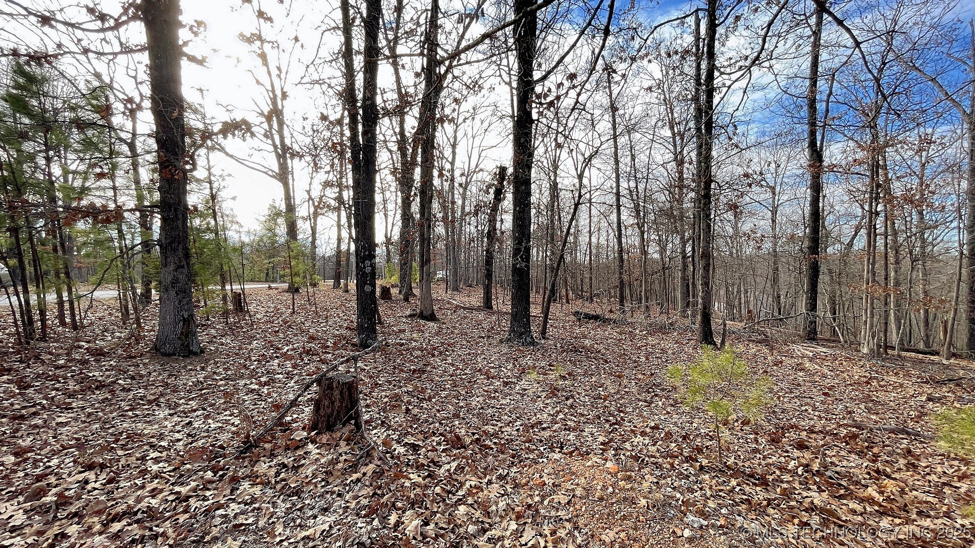 2145 Deer Lake Drive Property Photo 9