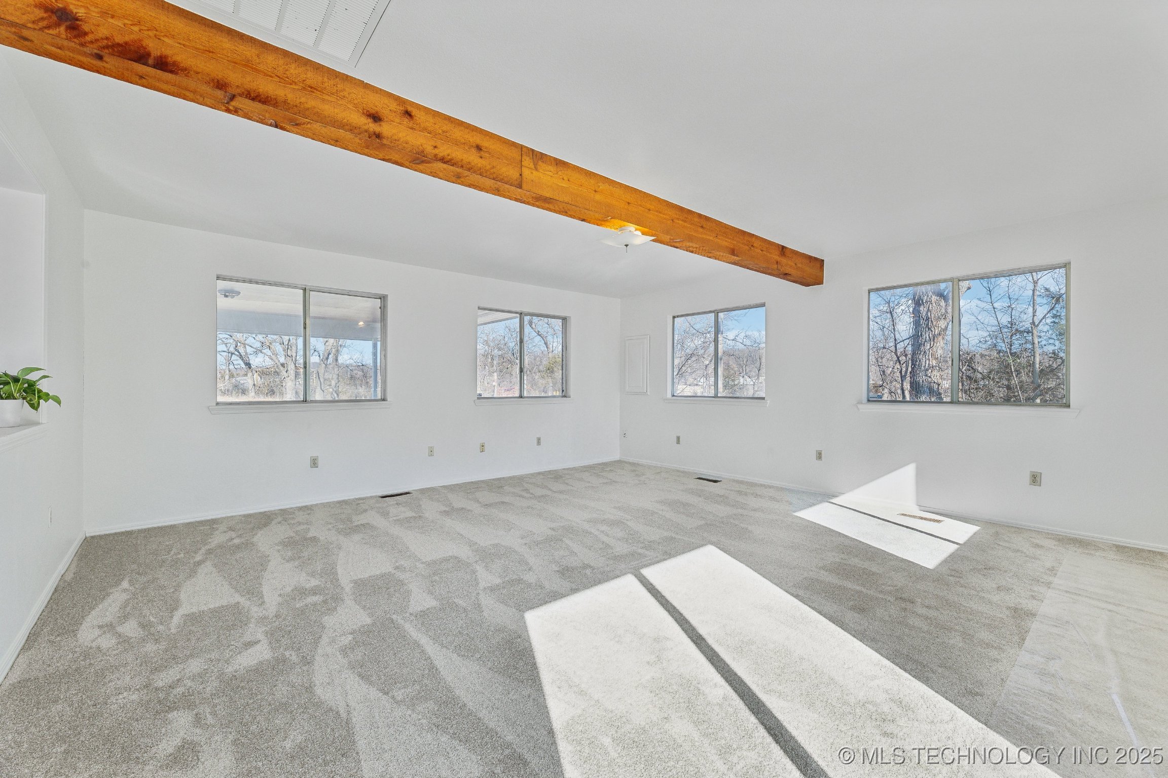 10541 Sahoma Lake Road Property Photo 11