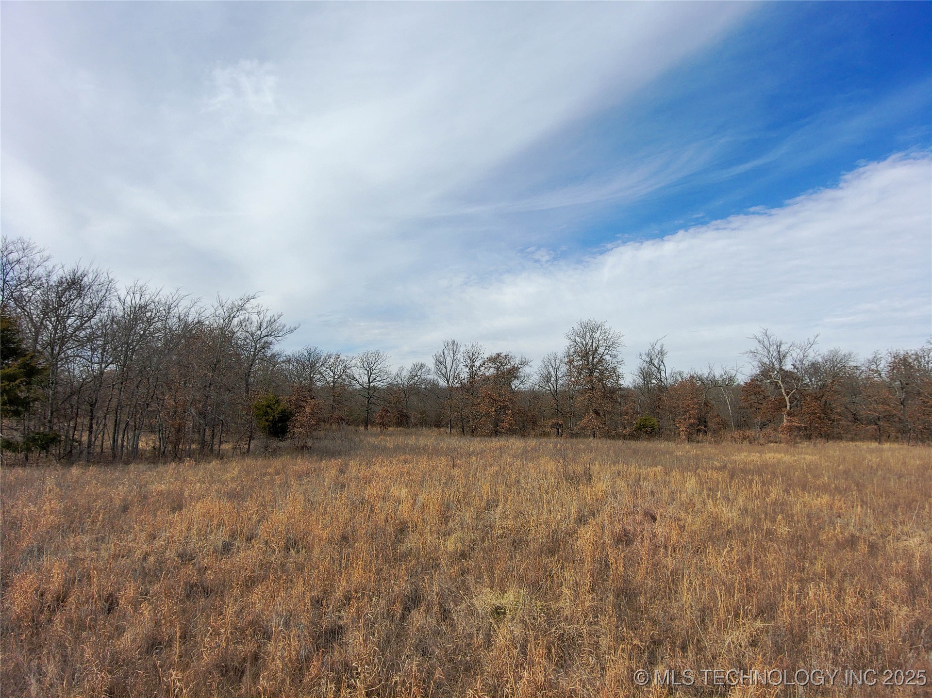 Division Property Photo 5