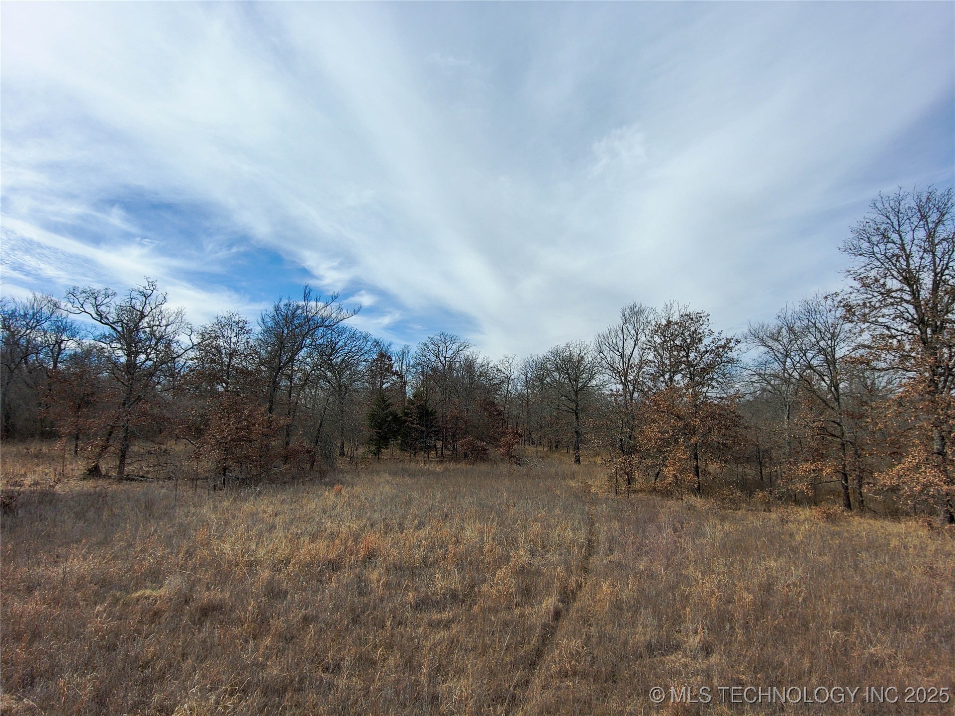 Division Property Photo 6