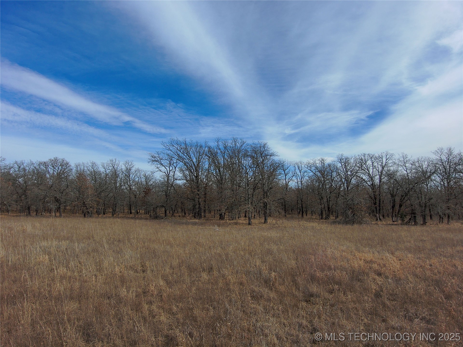 Division Property Photo 7