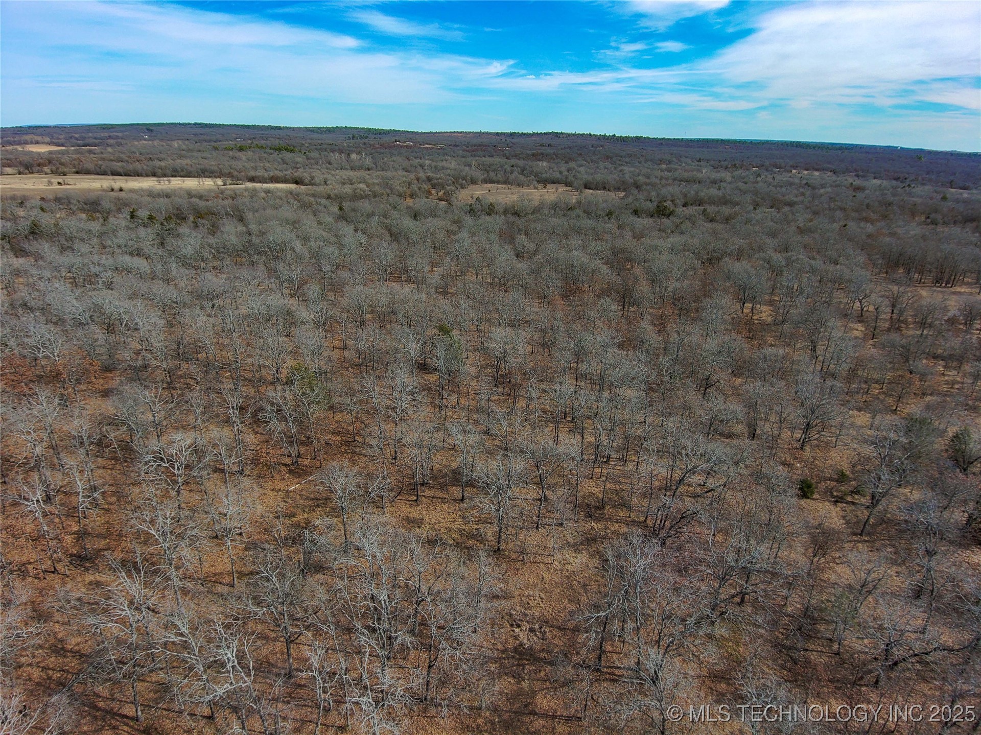 Division Property Photo 12