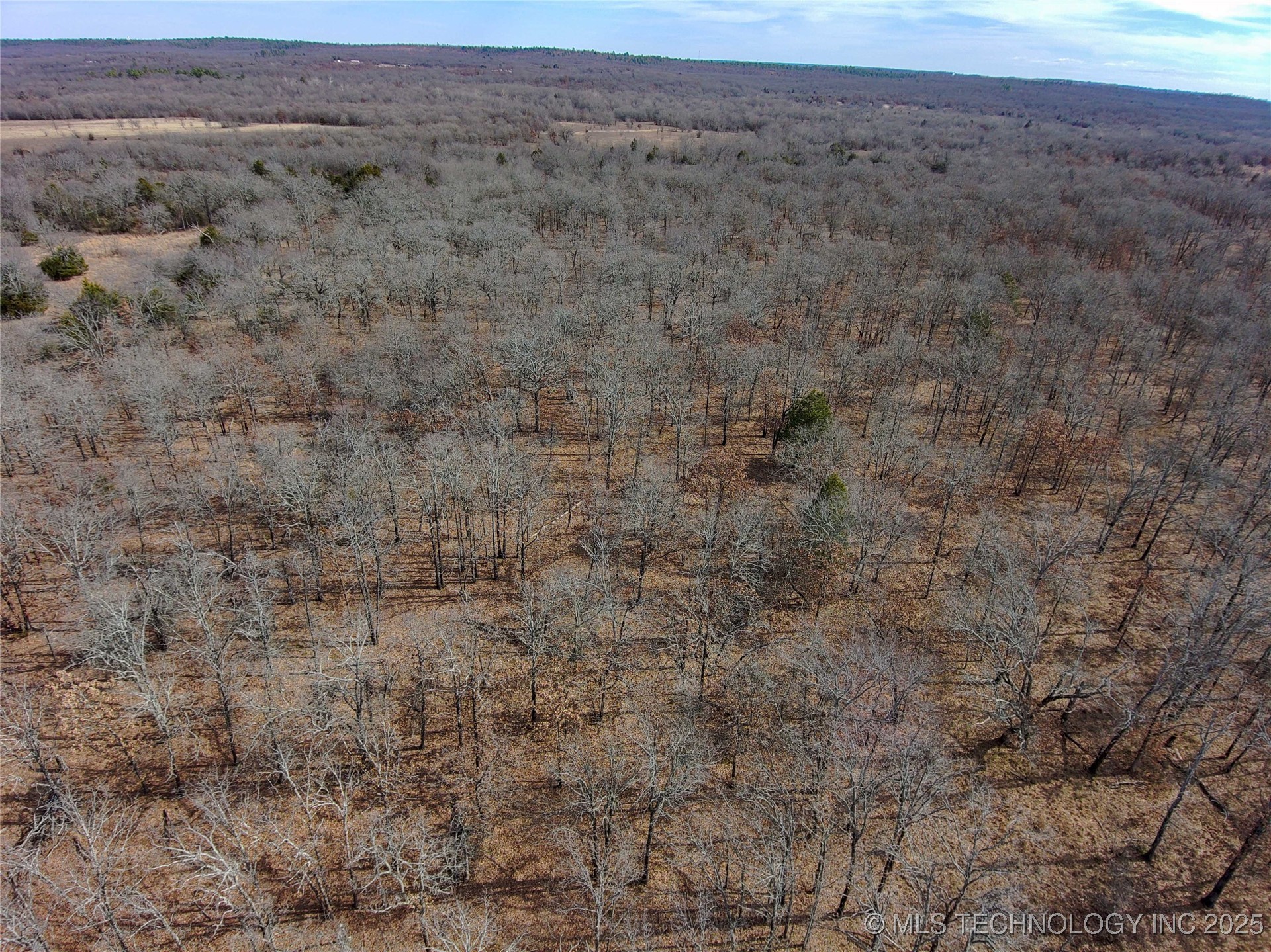 Division Property Photo 13