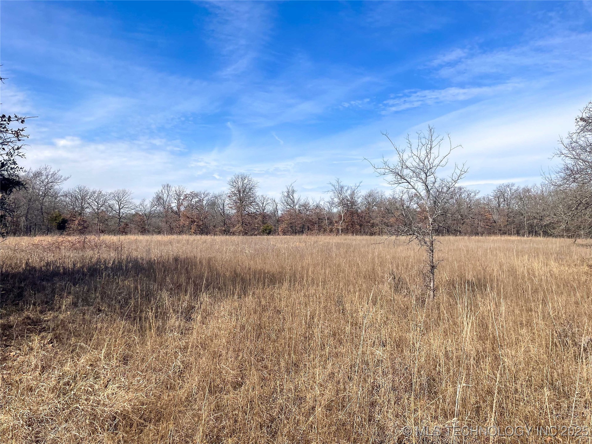 Division Property Photo 21