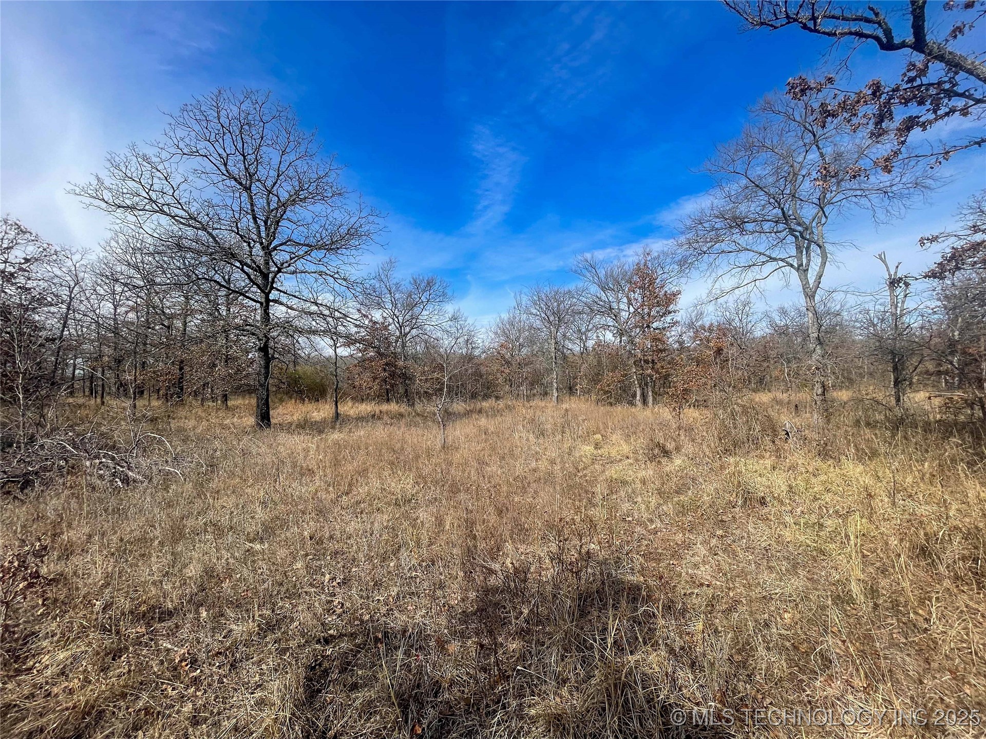 Division Property Photo 22
