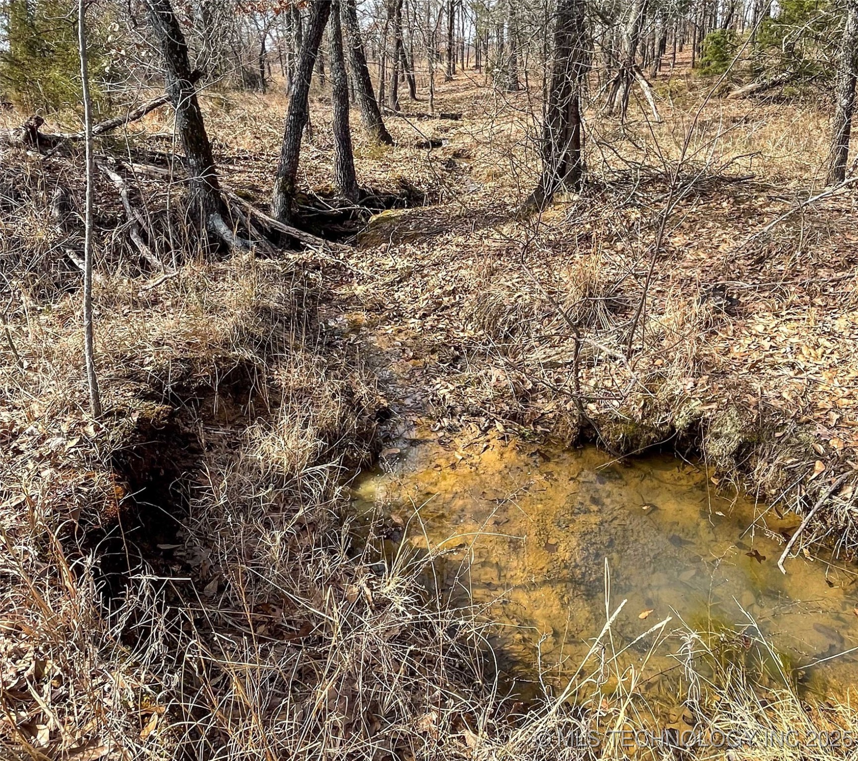 Division Property Photo 23