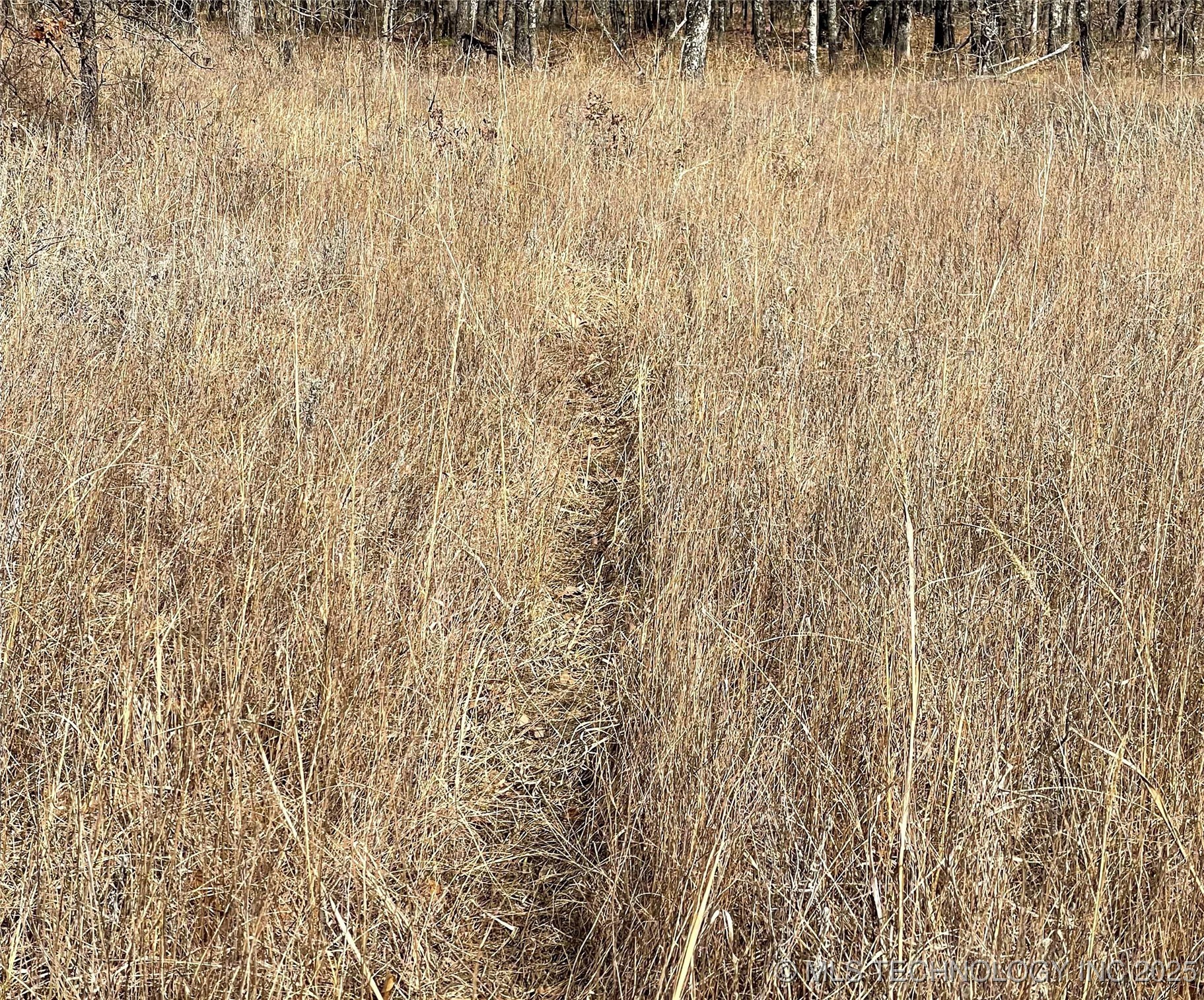 Division Property Photo 26