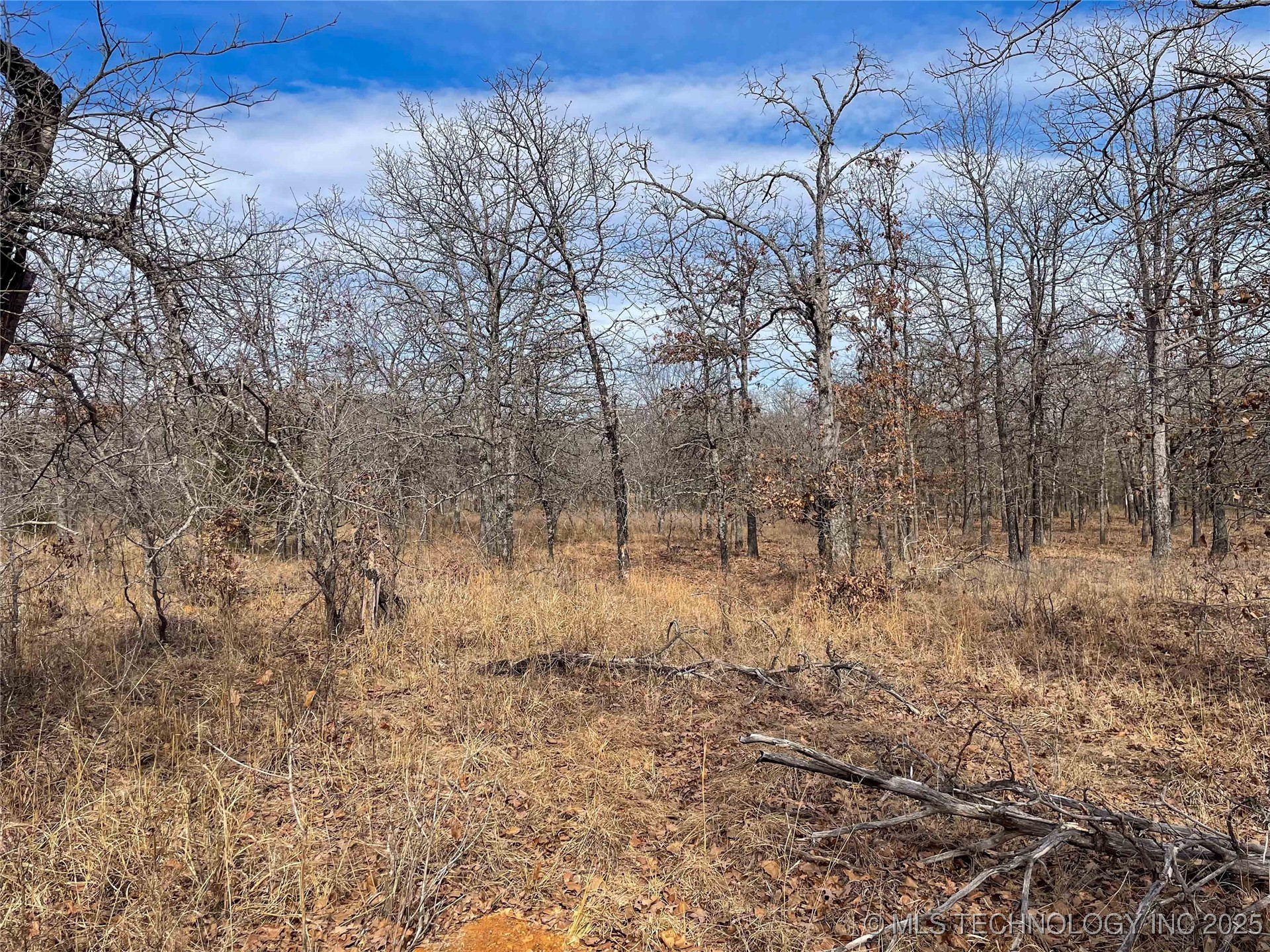 Division Property Photo 27