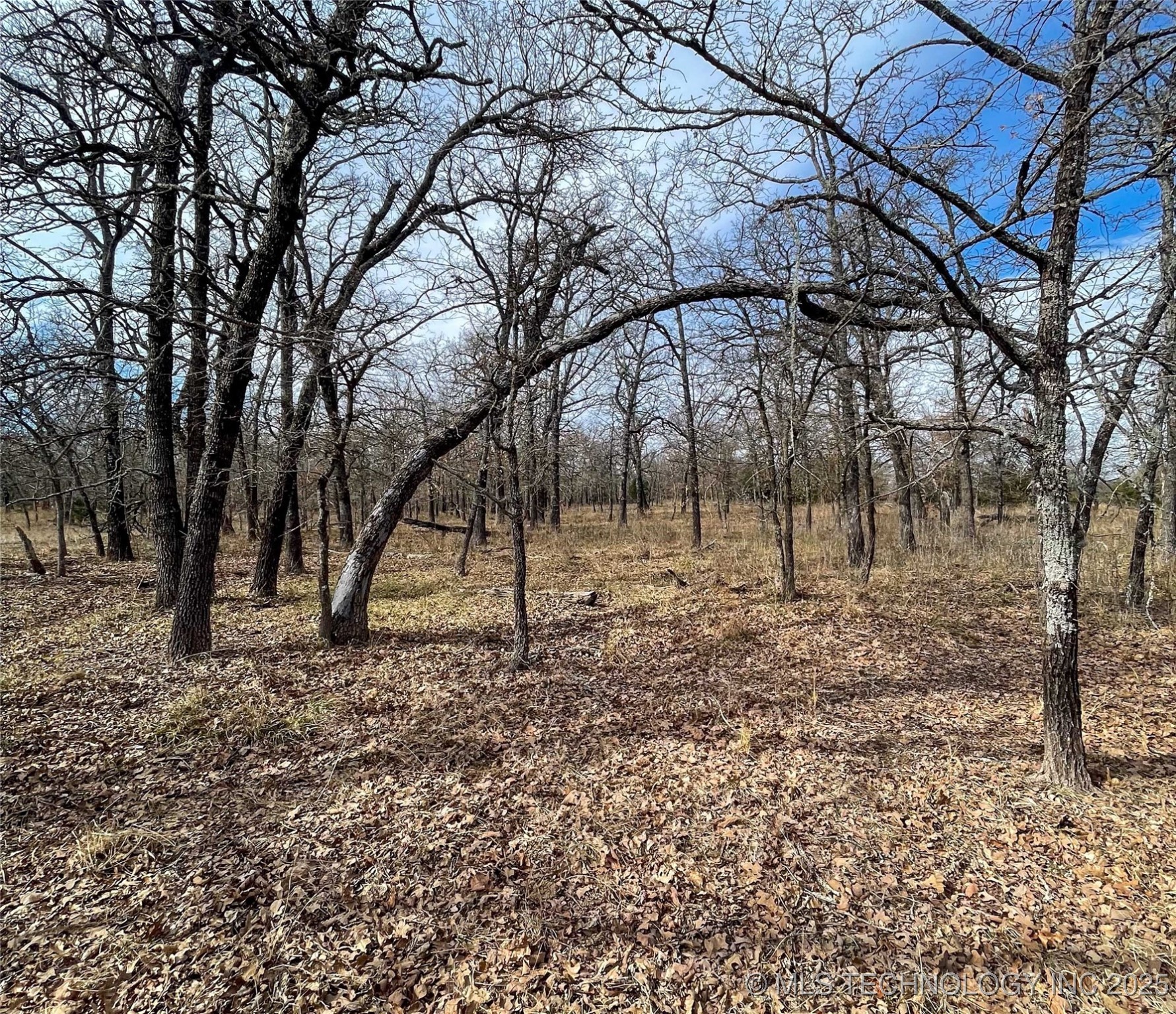 Division Property Photo 28