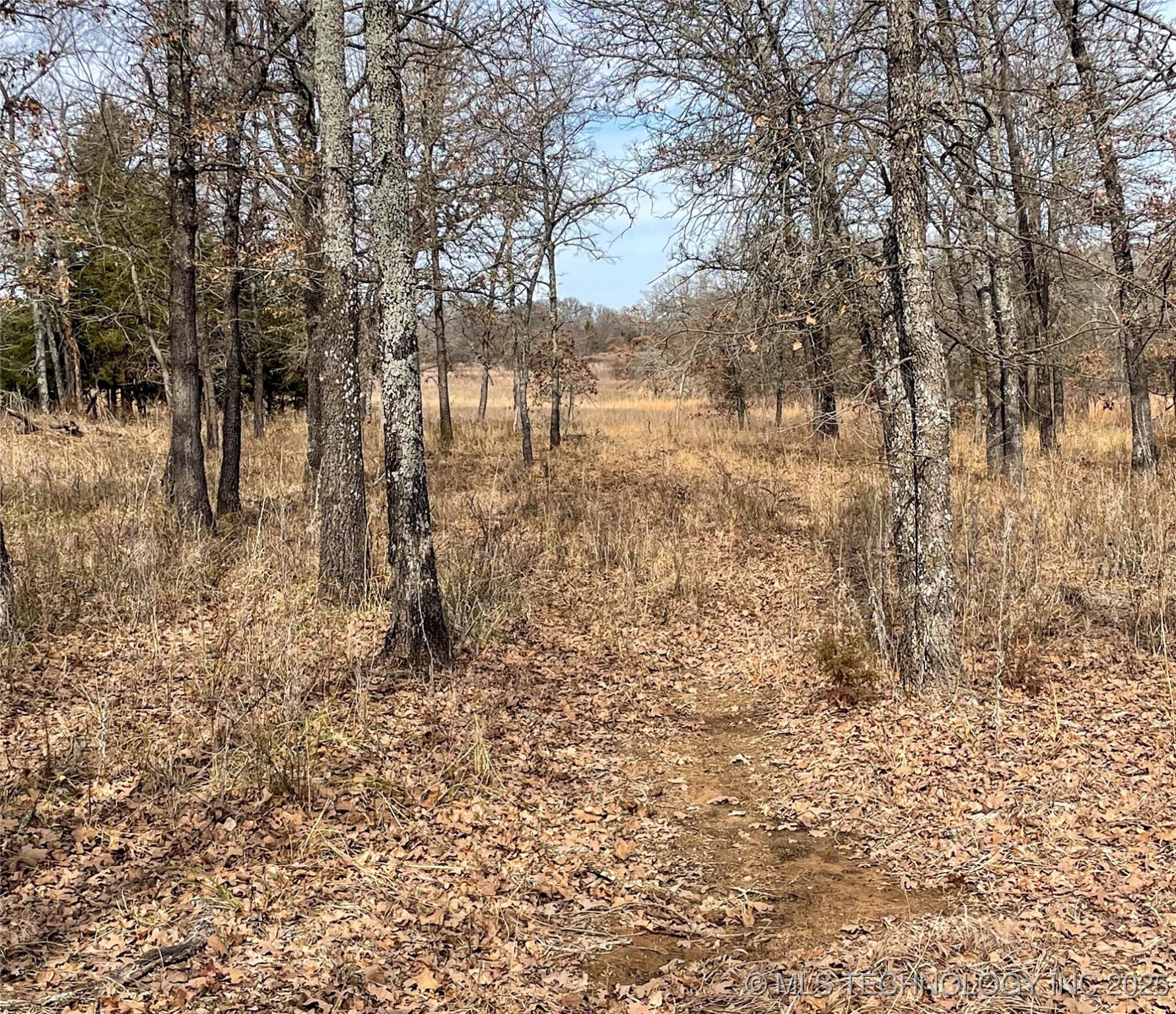 Division Property Photo 29