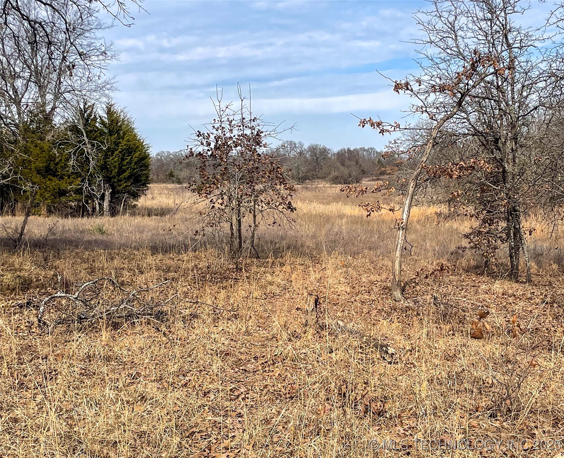 Division Property Photo 30