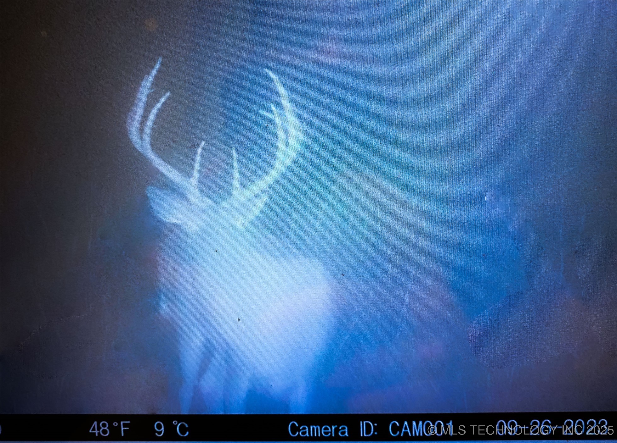 Division Property Photo 38