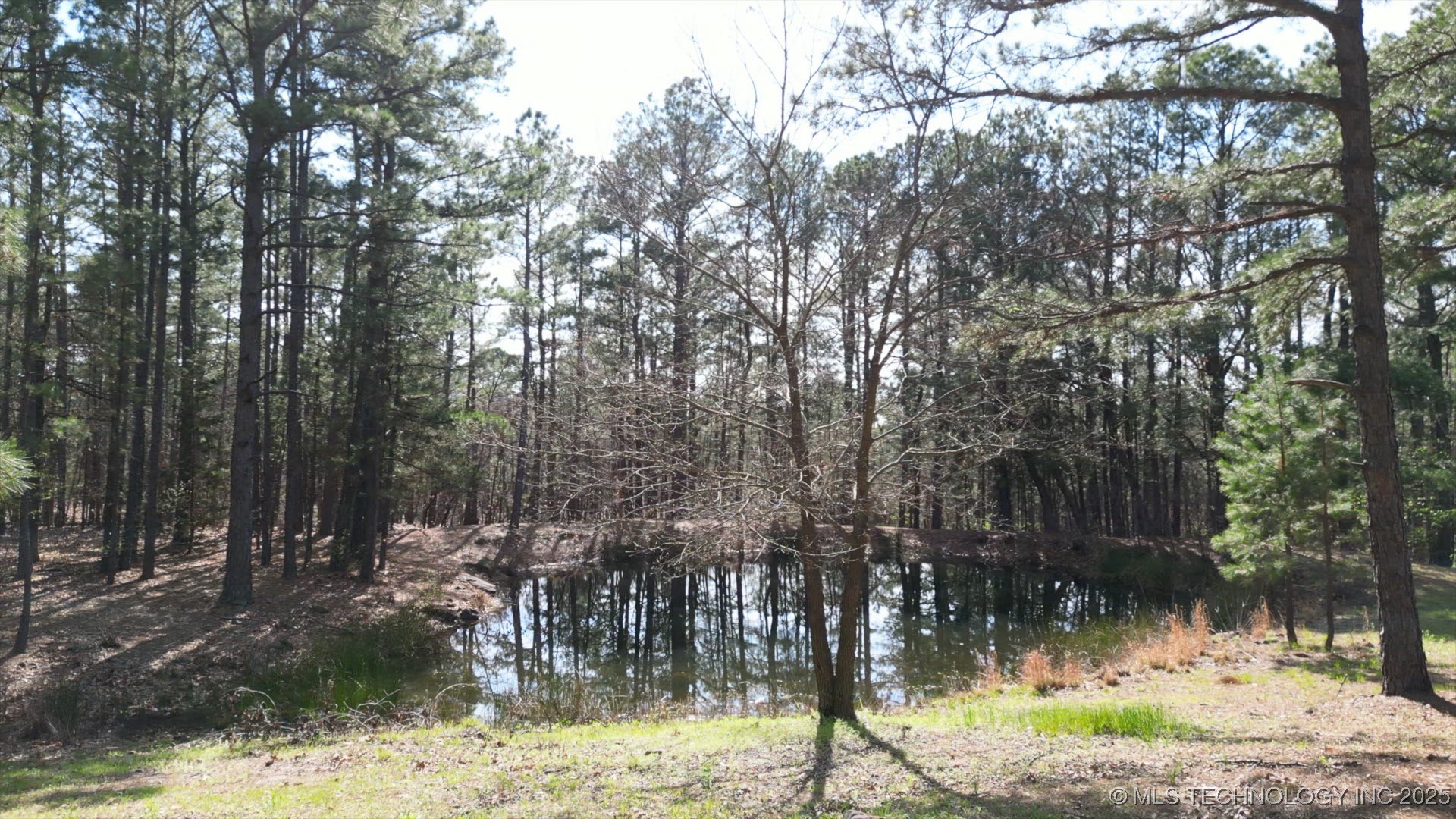 17159 County Road 3878 1840 Property Photo 22