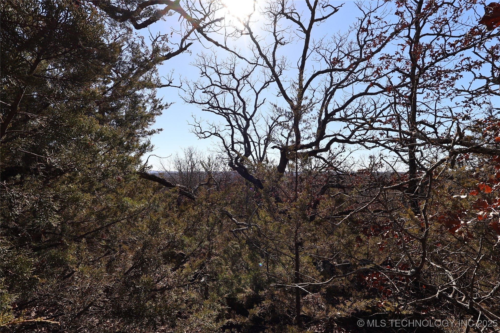 40420 Frog Rock Road Property Photo 5
