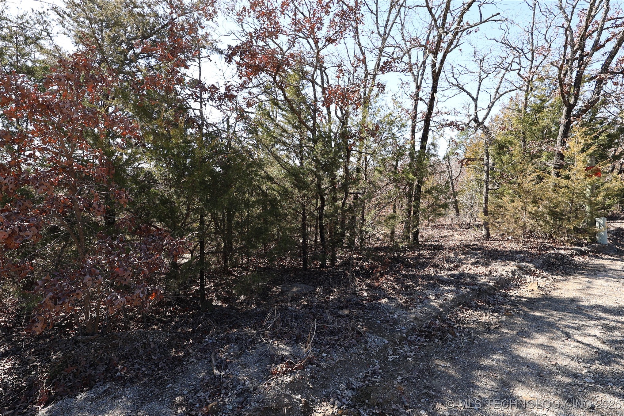 40420 Frog Rock Road Property Photo 6