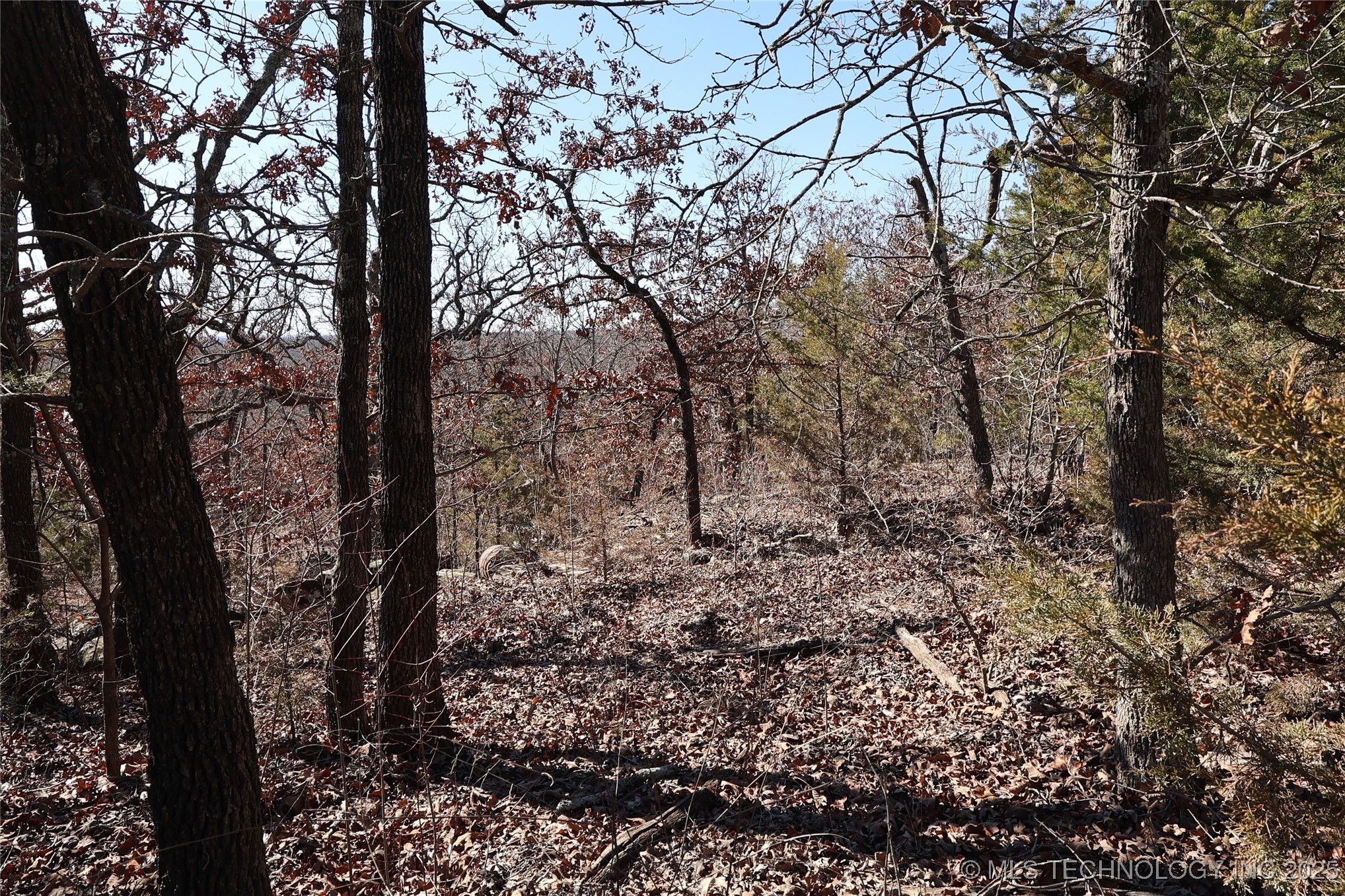40420 Frog Rock Road Property Photo 8
