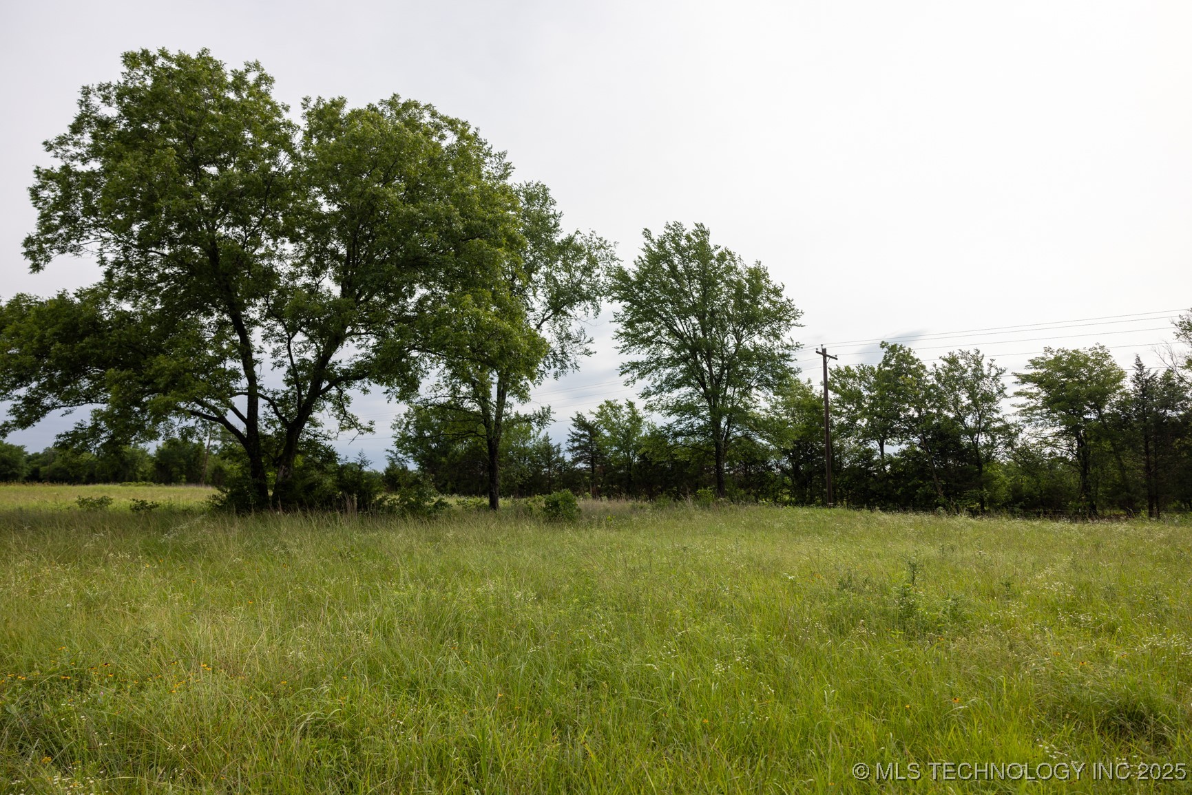 7 N 3800 Road Property Photo 10
