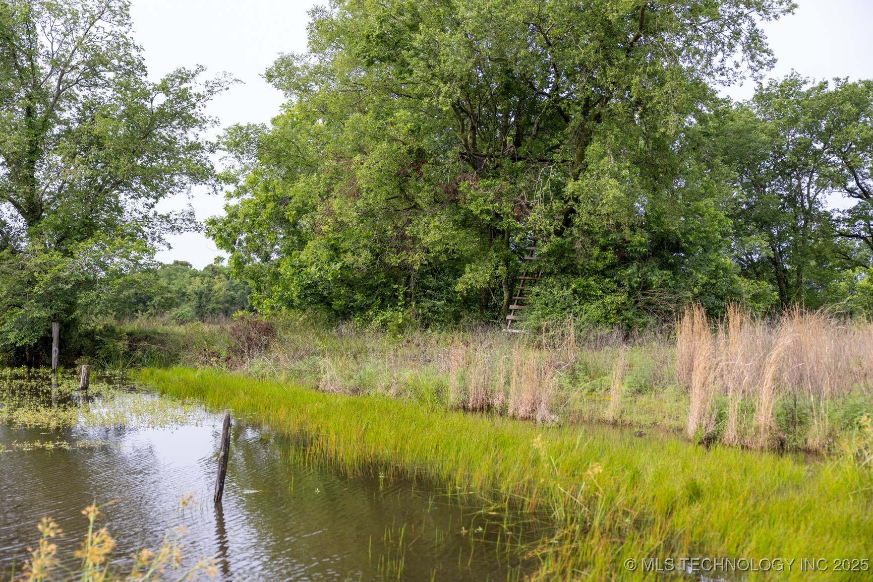 7 N 3800 Road Property Photo 16