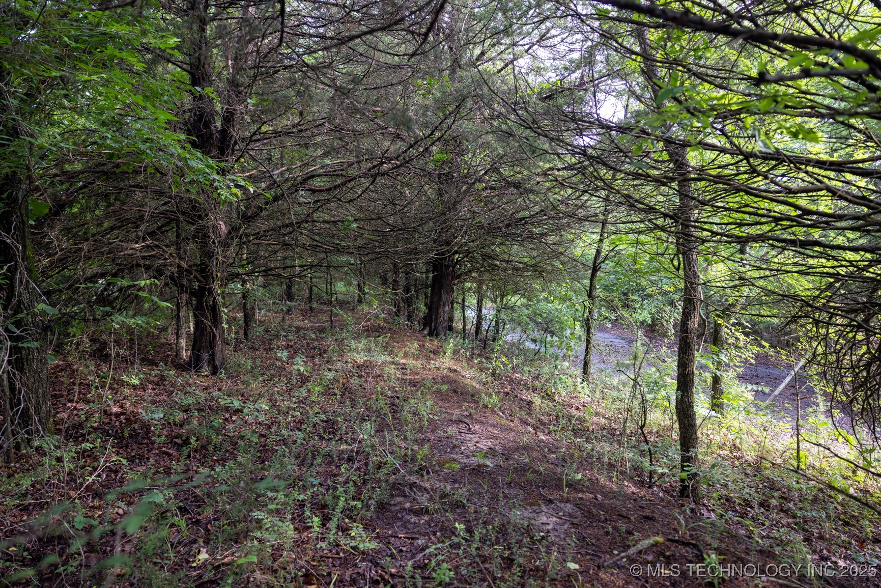 7 N 3800 Road Property Photo 20
