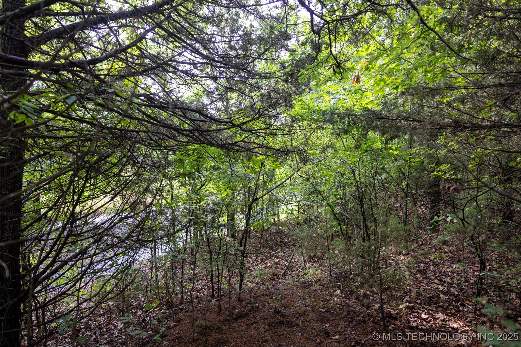 7 N 3800 Road Property Photo 21