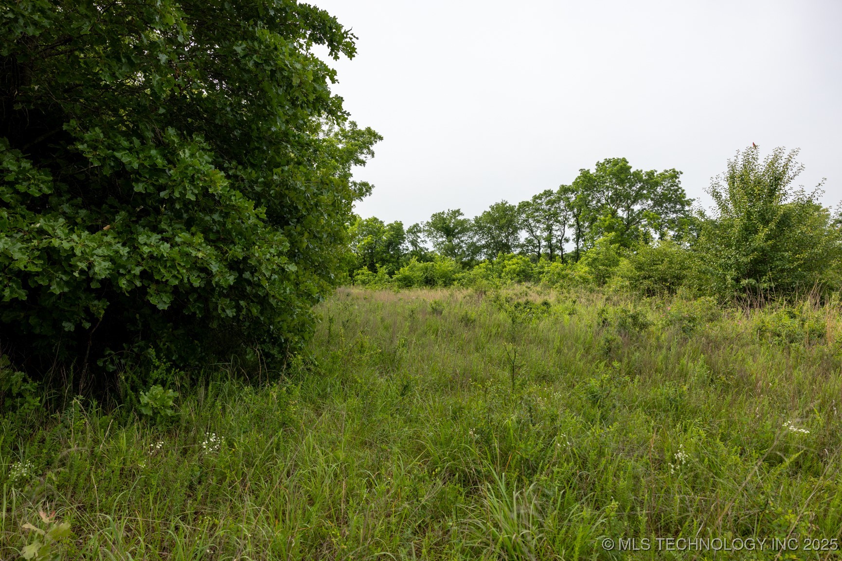 7 N 3800 Road Property Photo 22