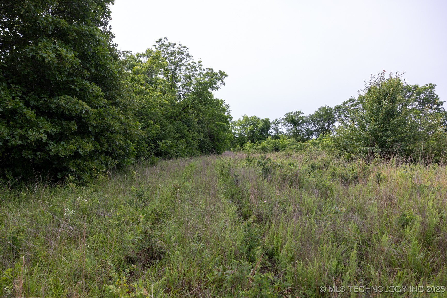 7 N 3800 Road Property Photo 23