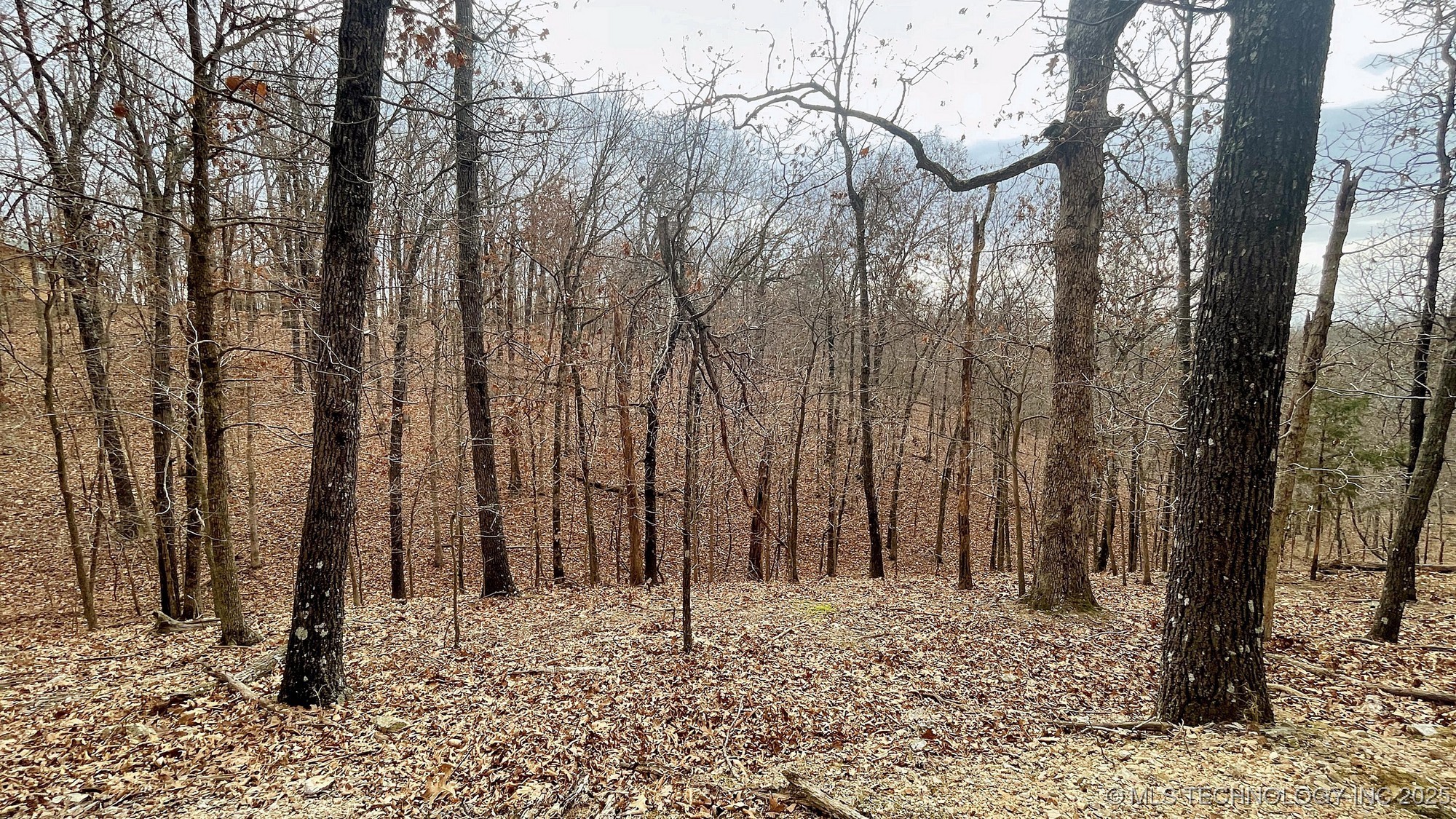 288 Crossroads Drive Property Photo 1