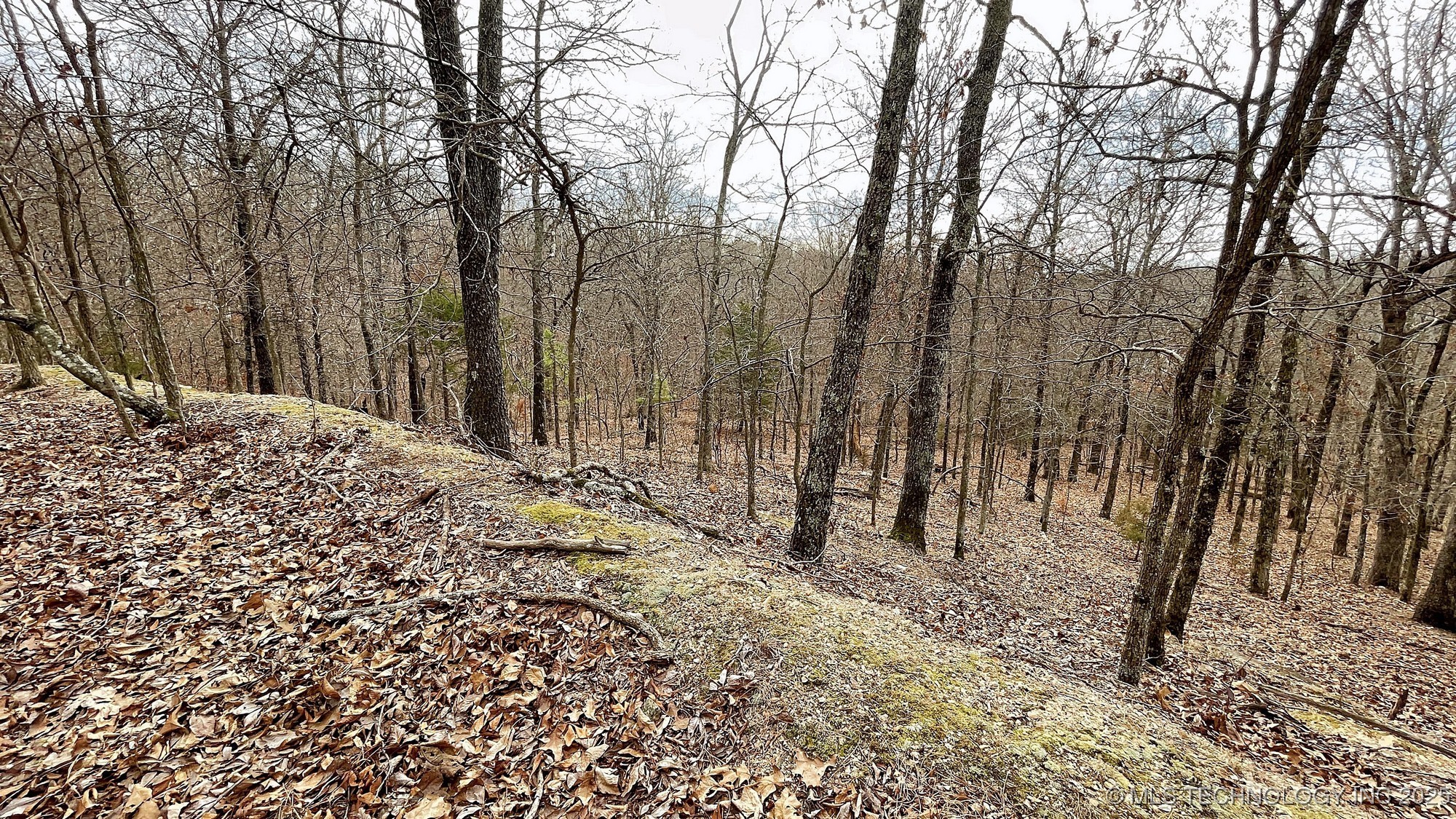 288 Crossroads Drive Property Photo 3