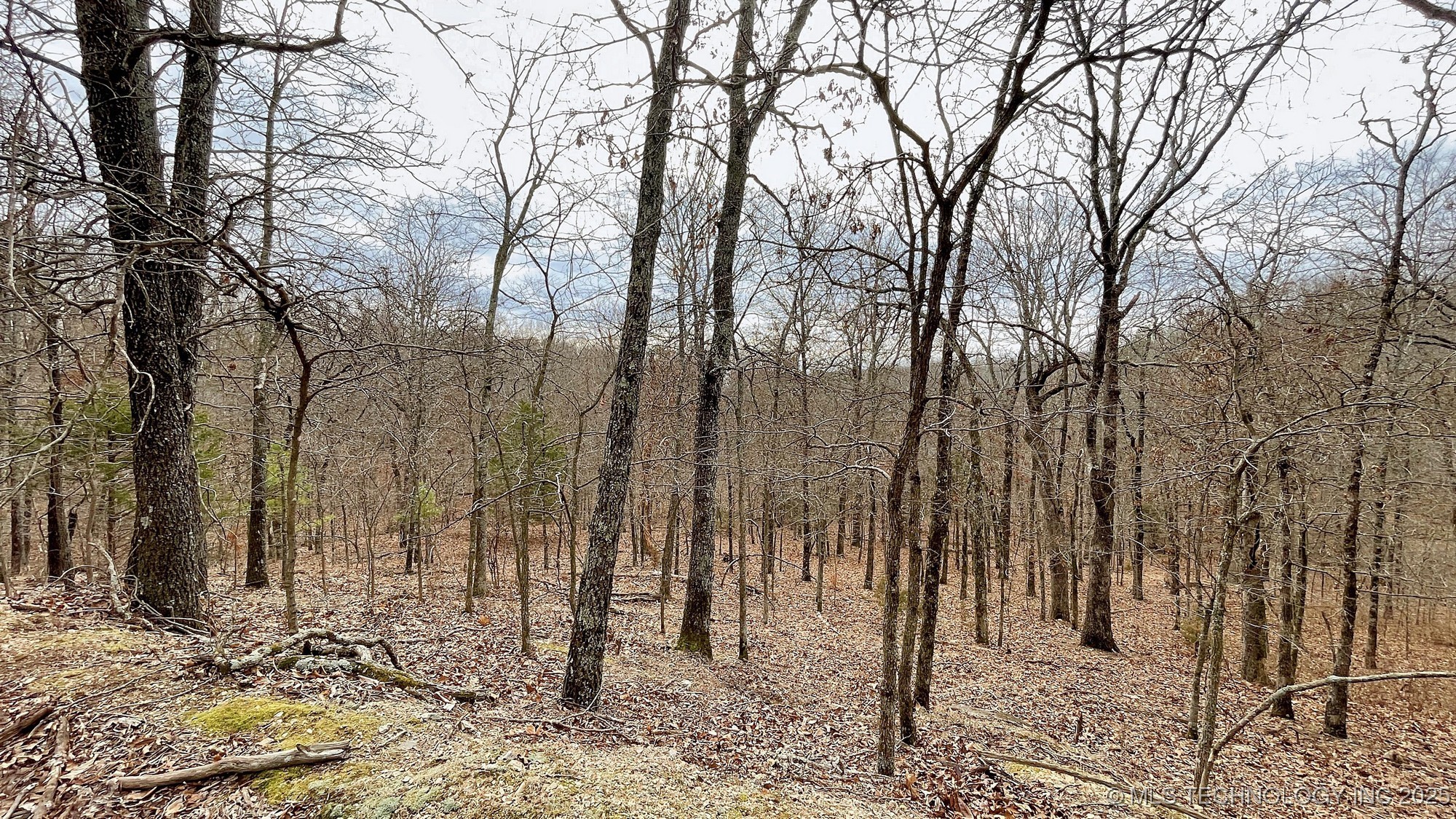 288 Crossroads Drive Property Photo 4