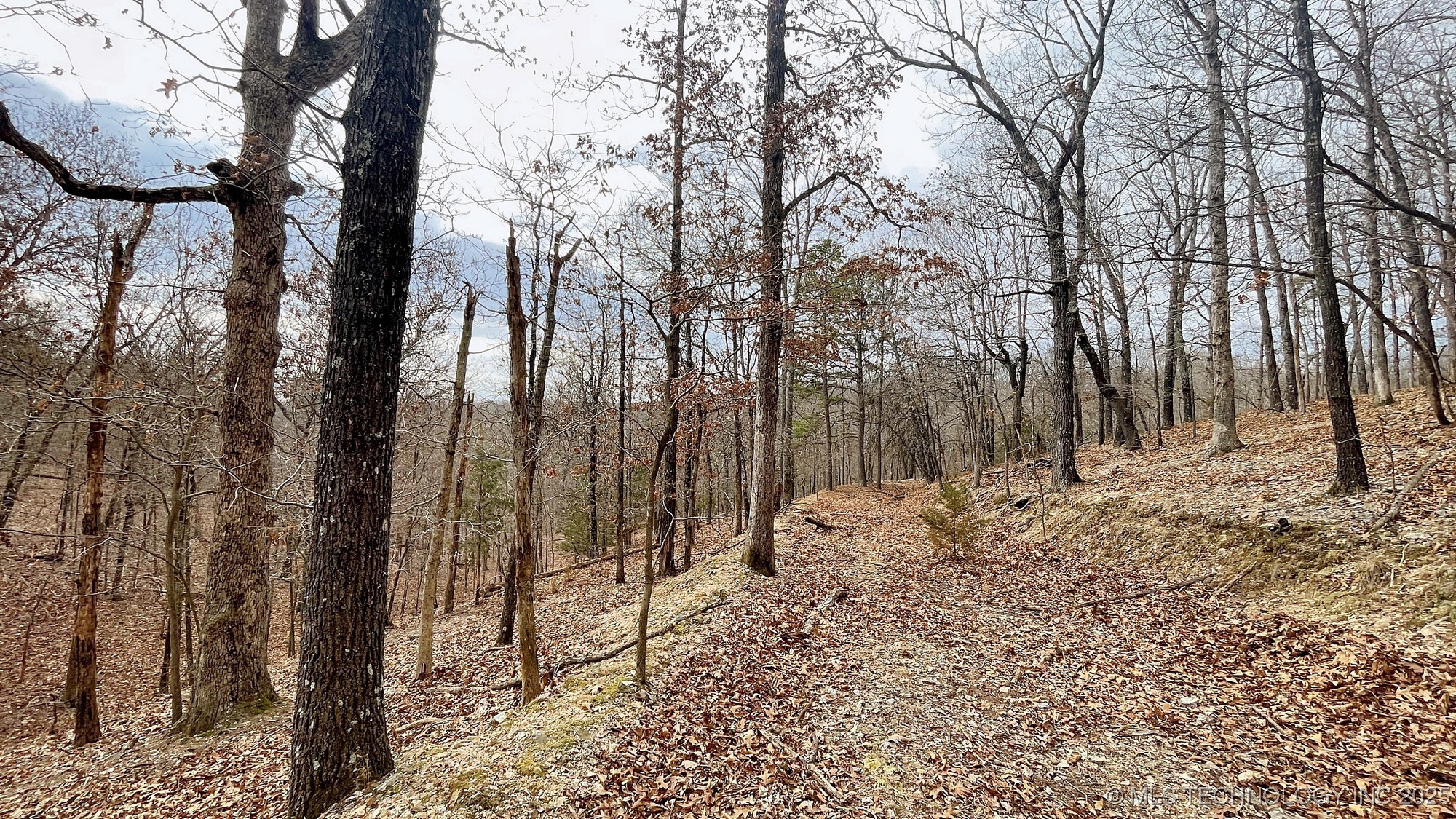 288 Crossroads Drive Property Photo 7