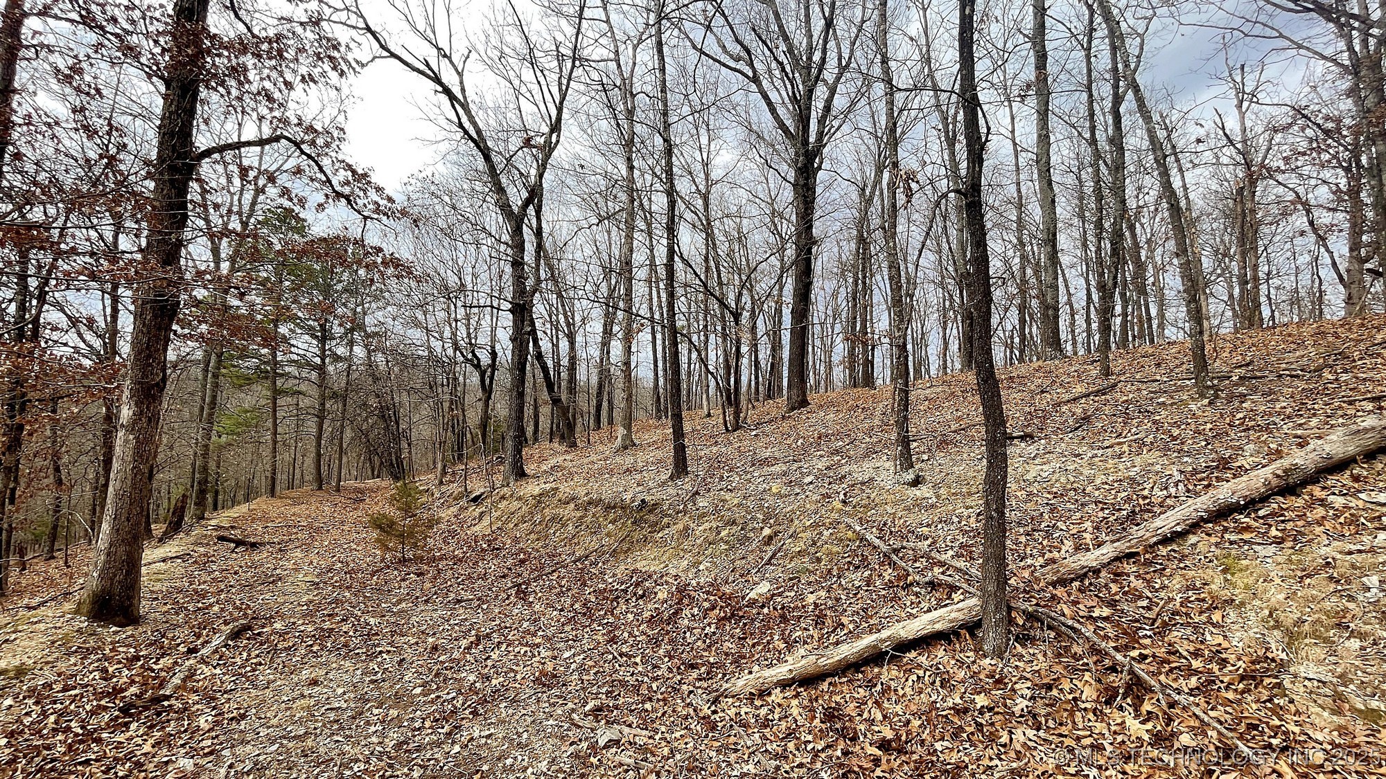 288 Crossroads Drive Property Photo 8